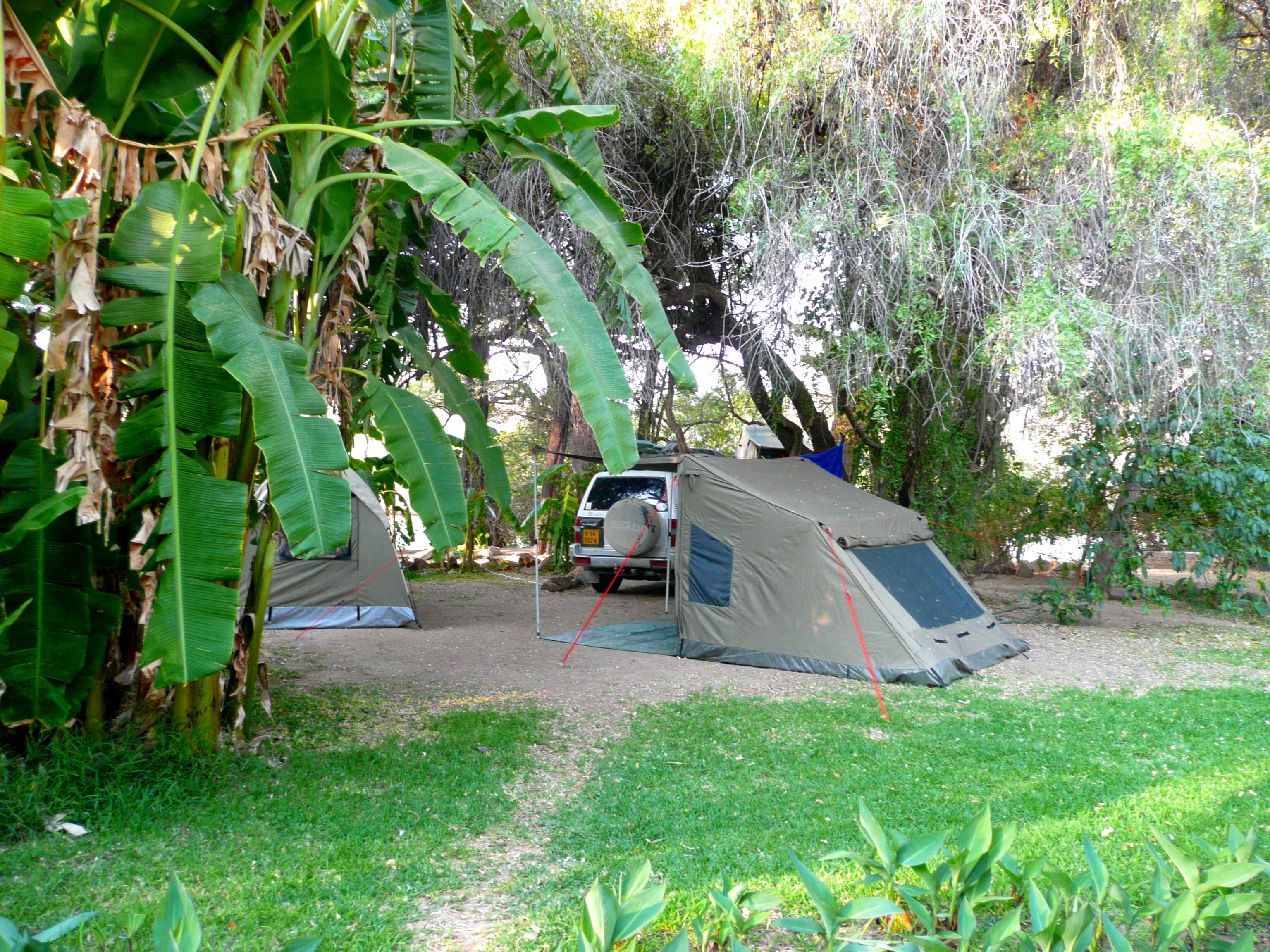 Well shaded camping ground 