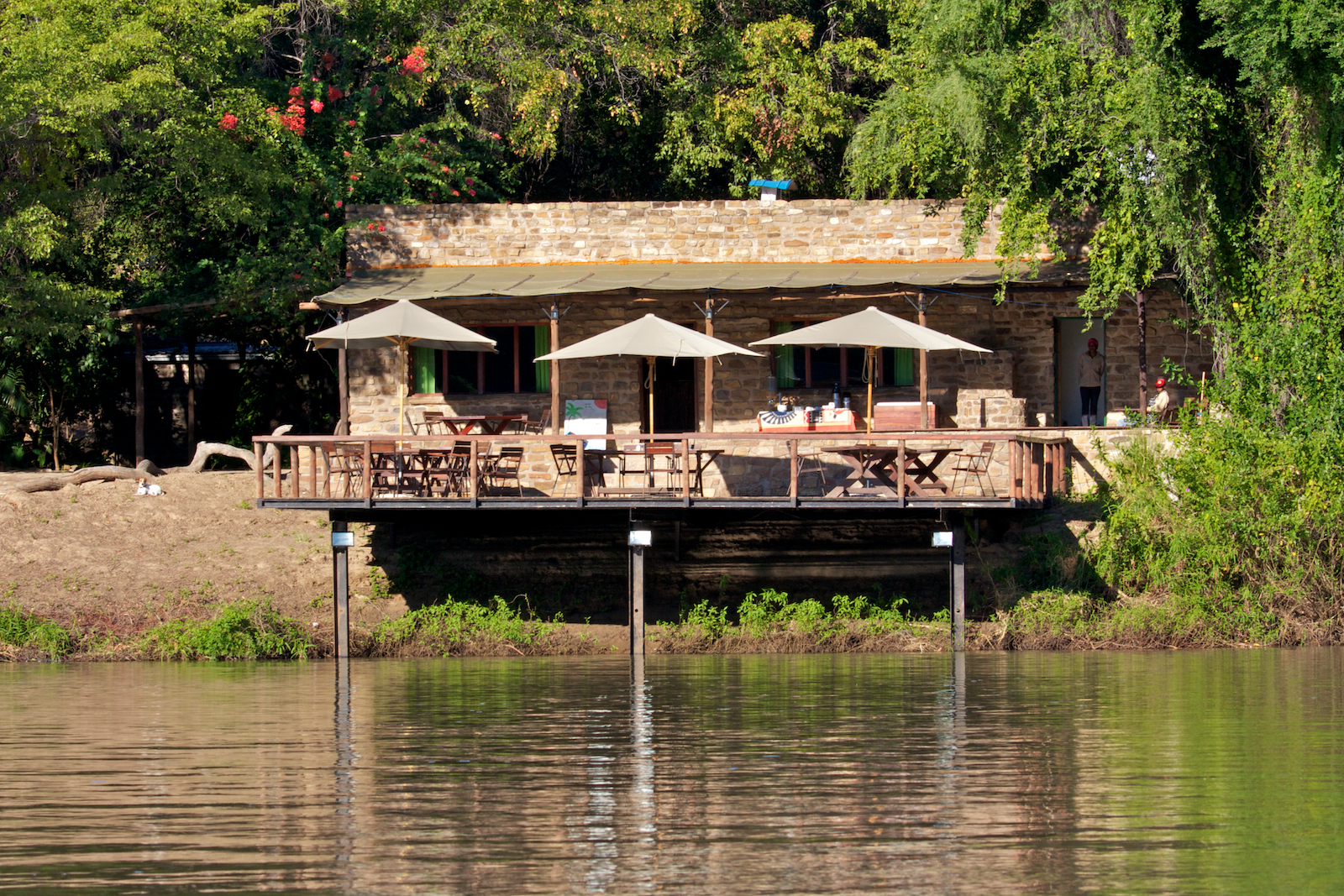 Observe the wildlife from our lodge deck