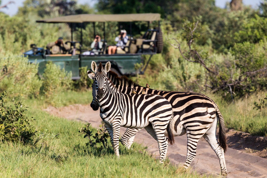 Family on game drive