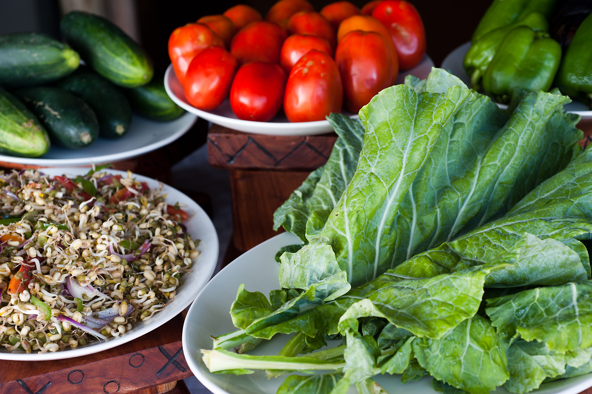 Fresh vegetables from our vegetable garden