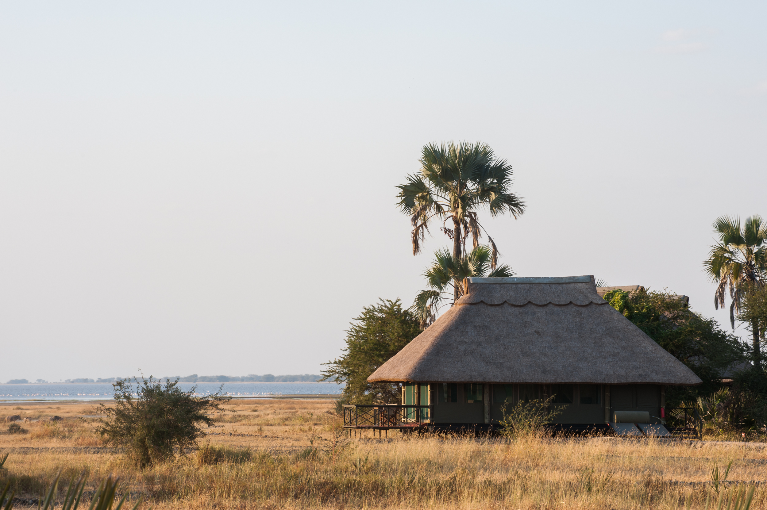Suite tent from outside