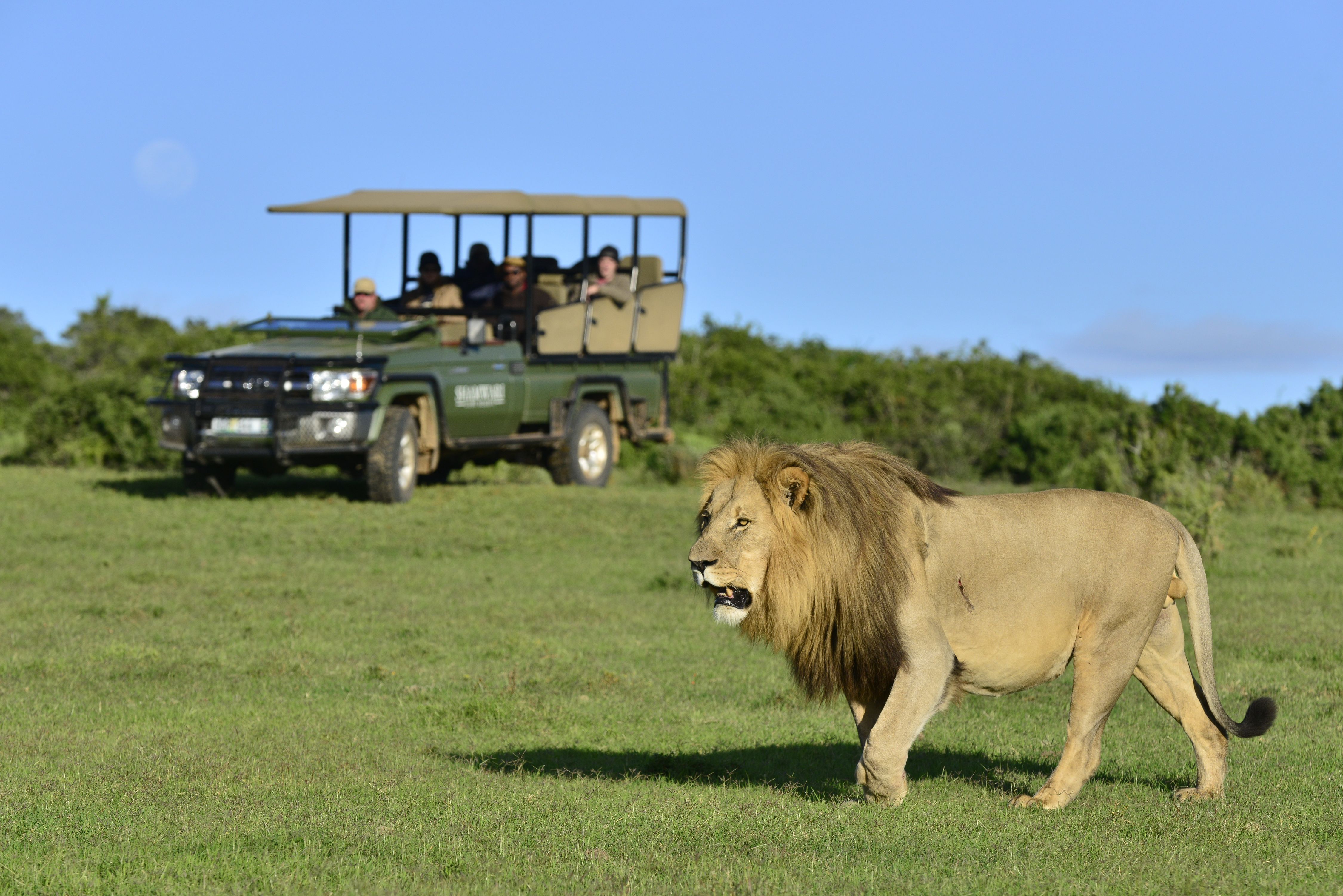 Game Drives
