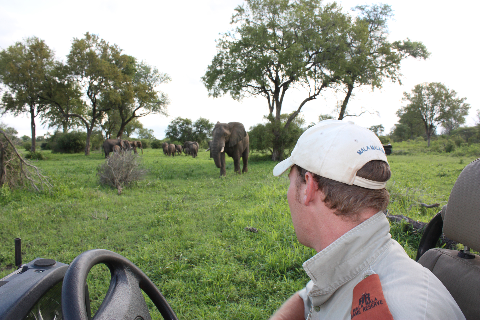 MalaMala lies strategically sandwiched between the Kruger National Park and The Sabi Sand Reserve