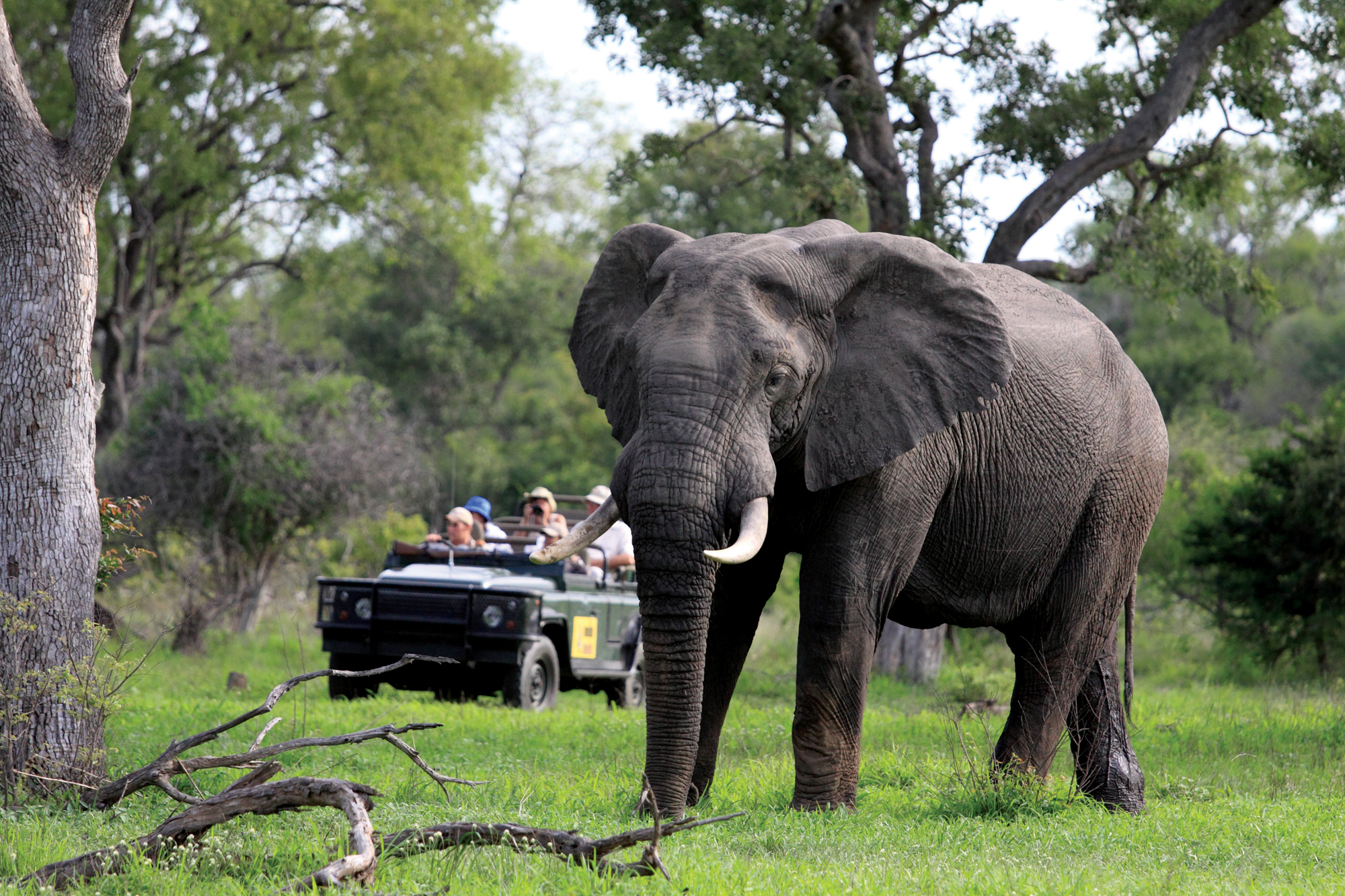 This exclusivity affords a completely private and personal safari experience
