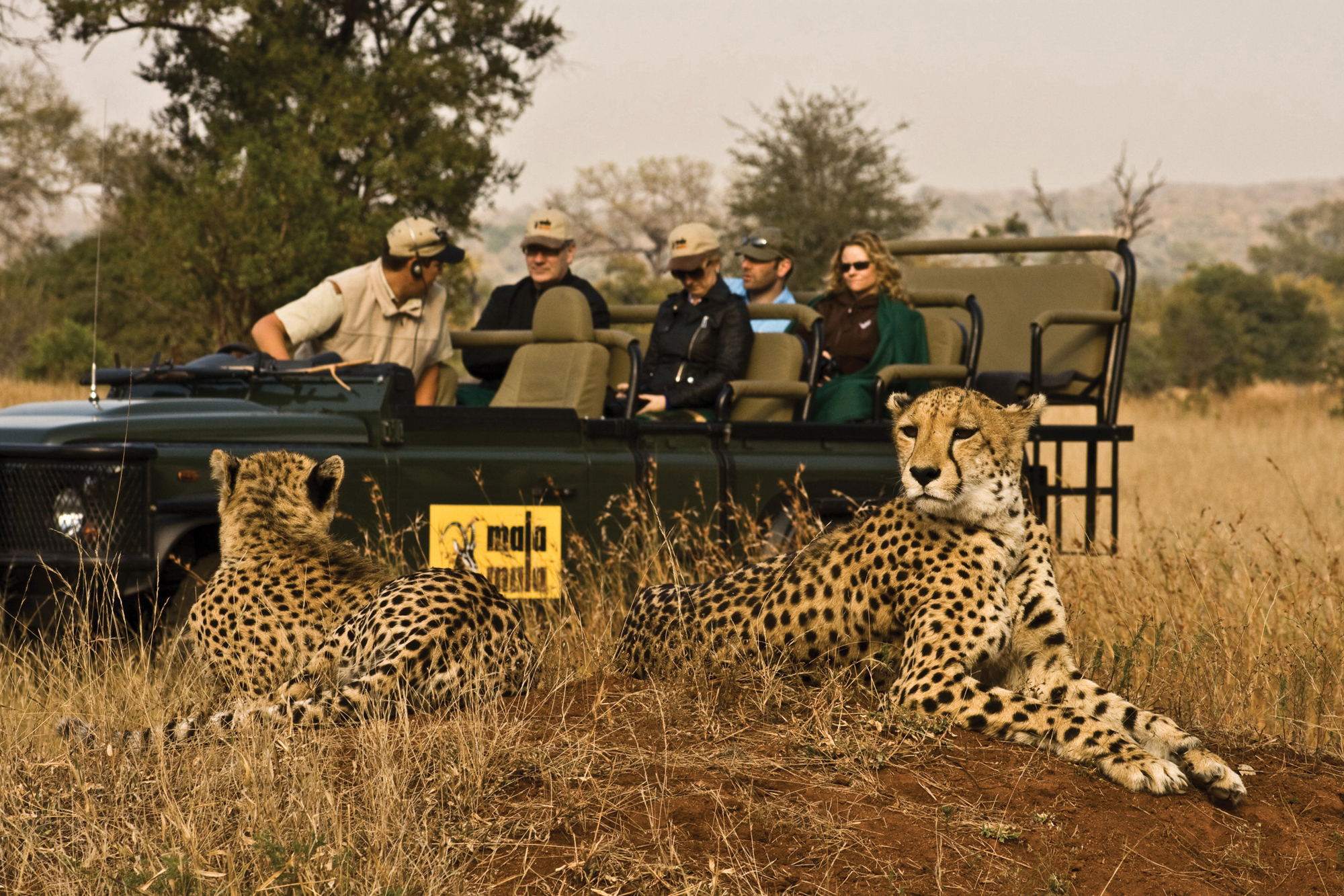 There is nothing ordinary about the safari experience at MalaMala