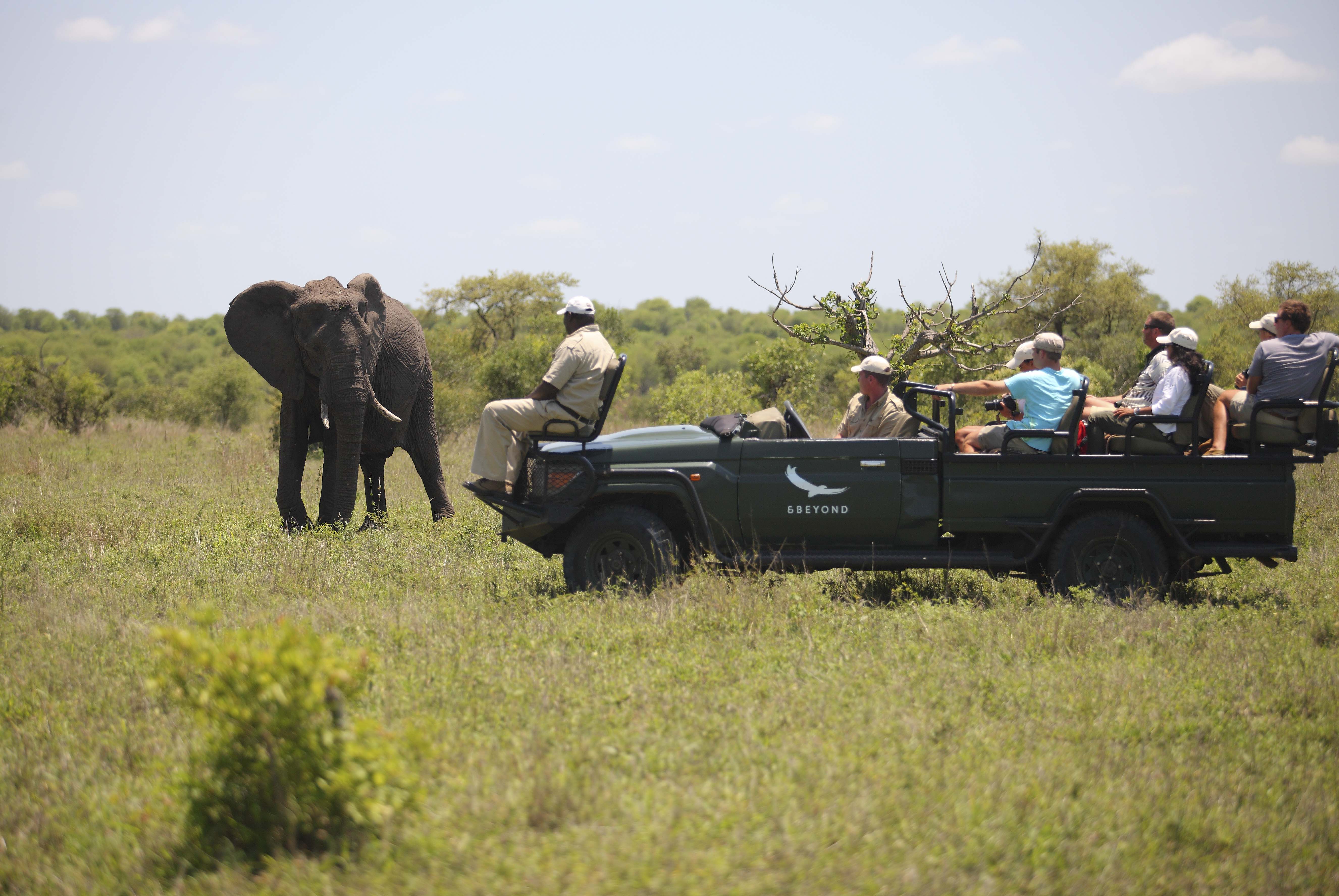 Game Drive