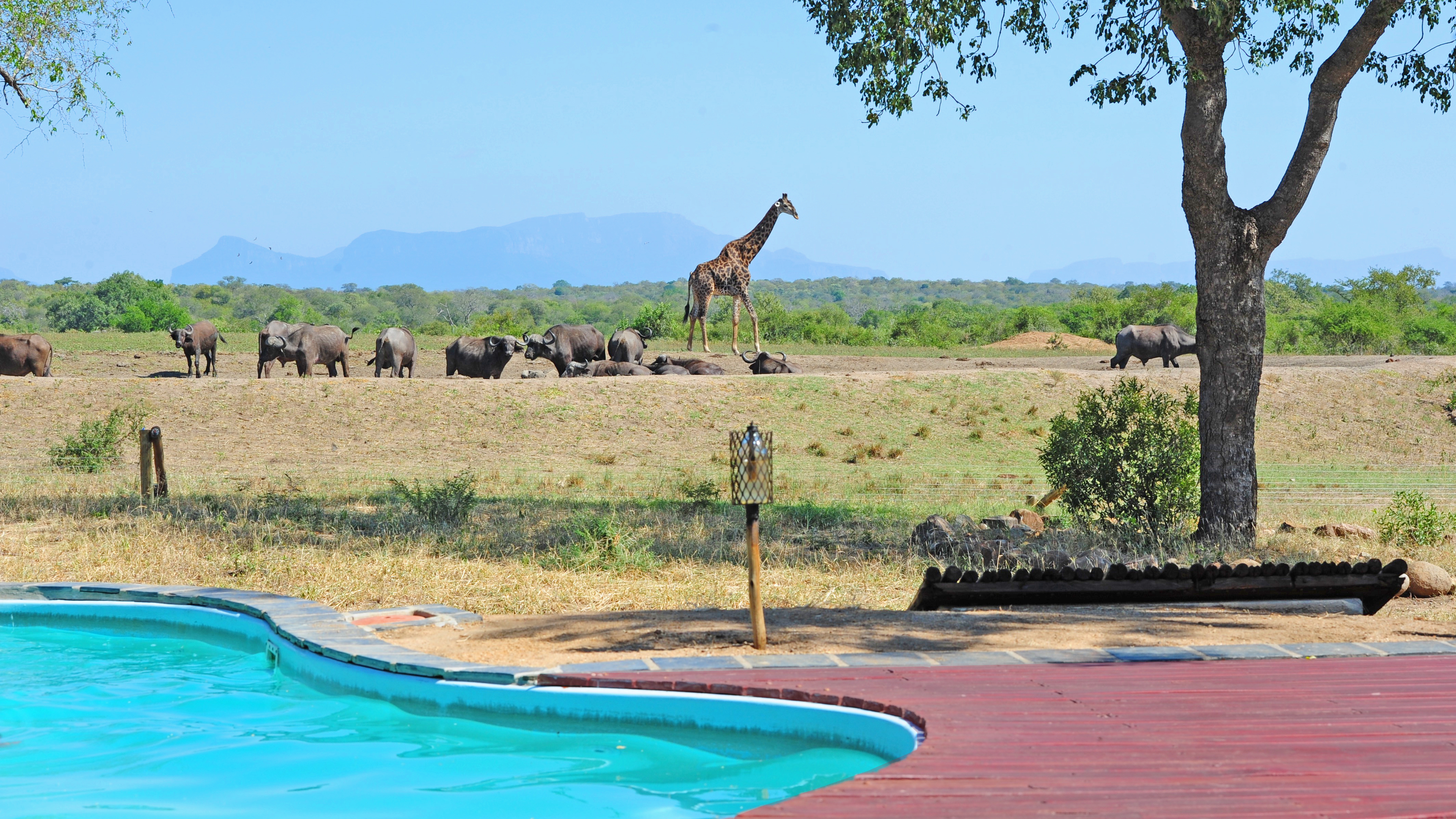 Pool deck with view of the waterhole 