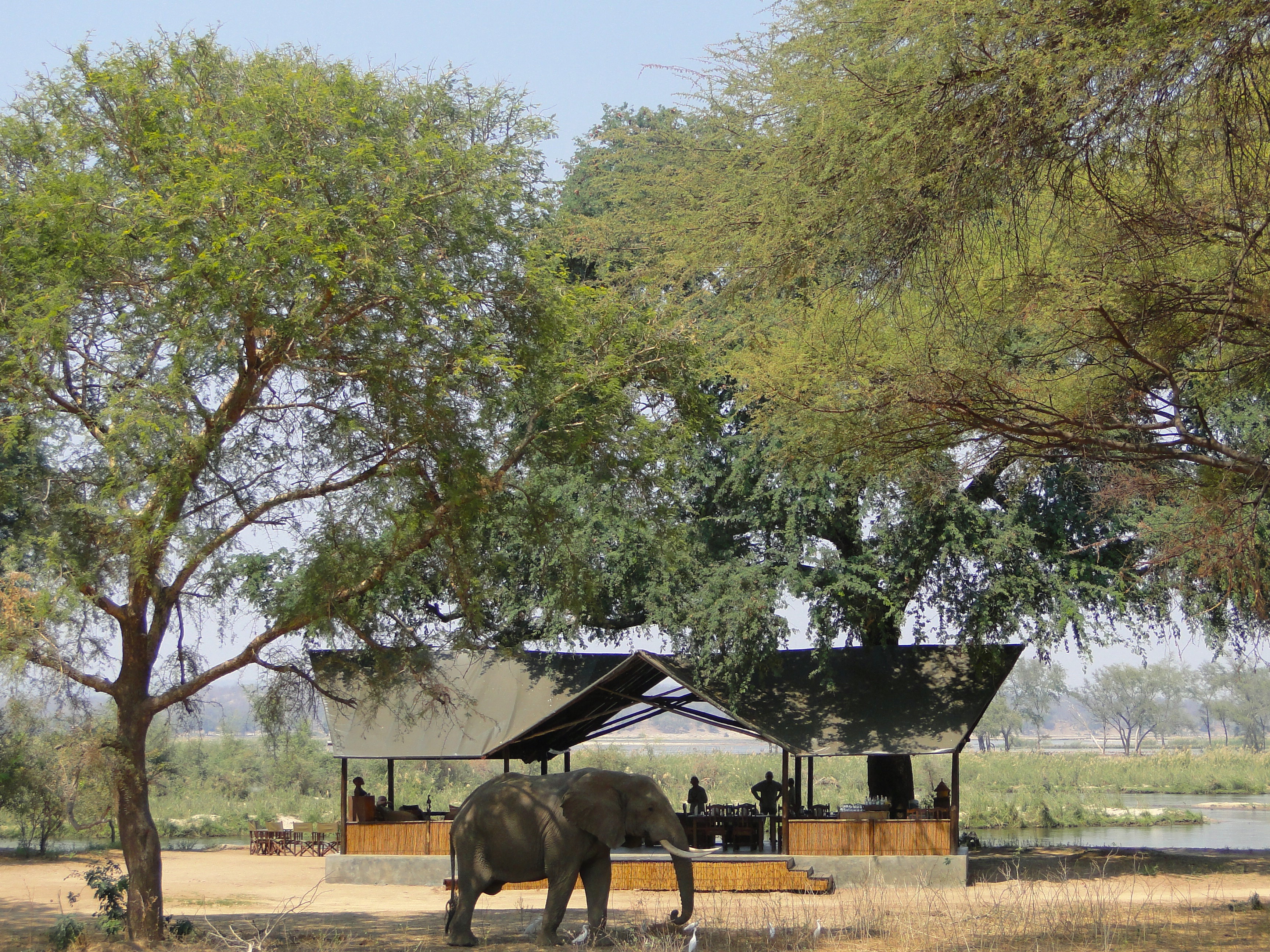Voted best value safari camp in Africa!