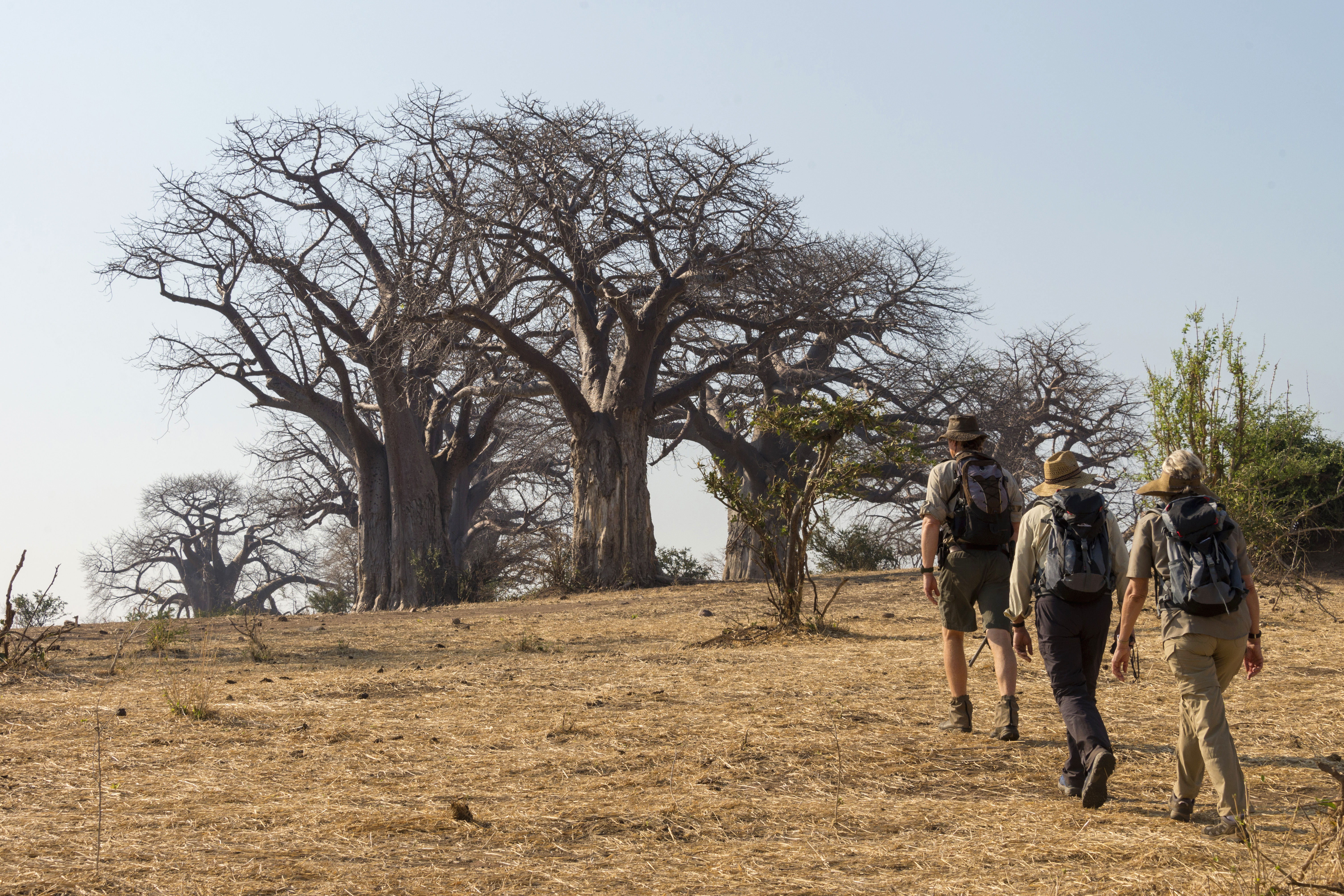 Walking around Chitake Spring is not only great for wildlife but the scenery as well!