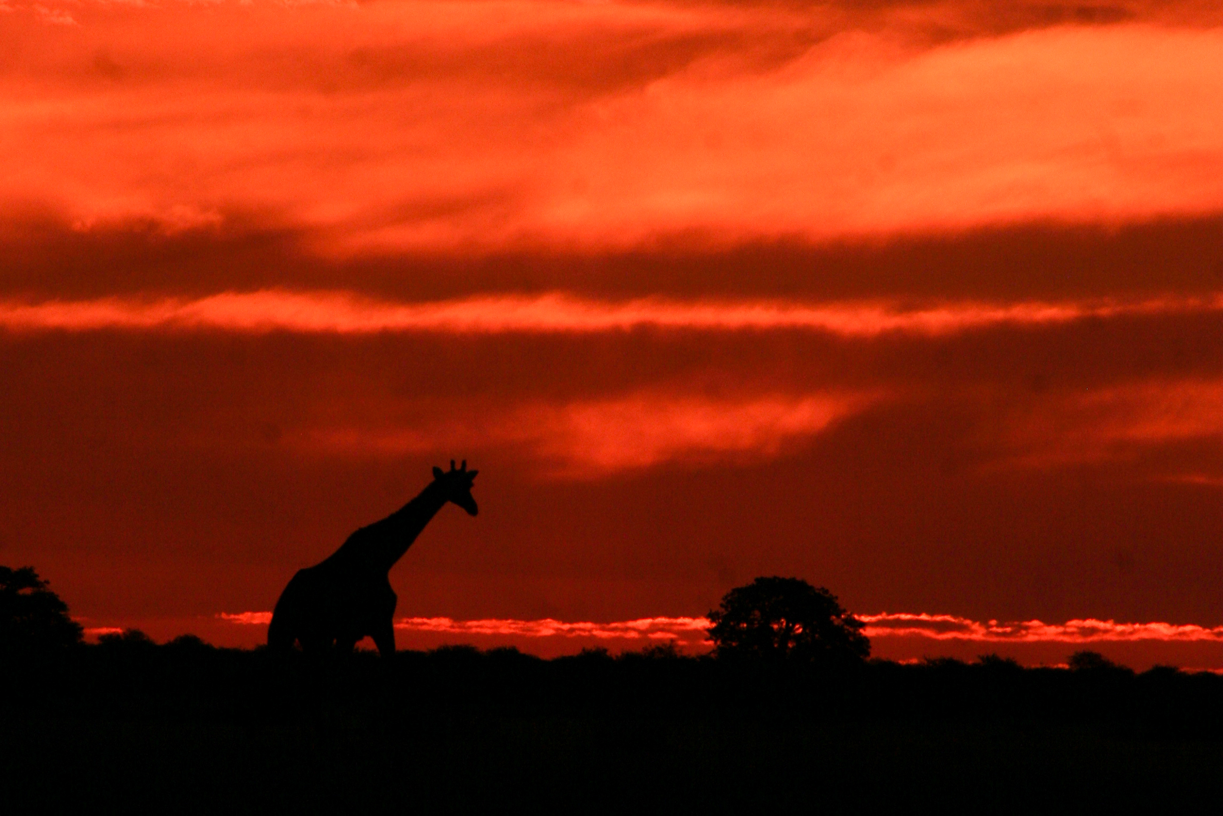 Stunning scene in Hwange