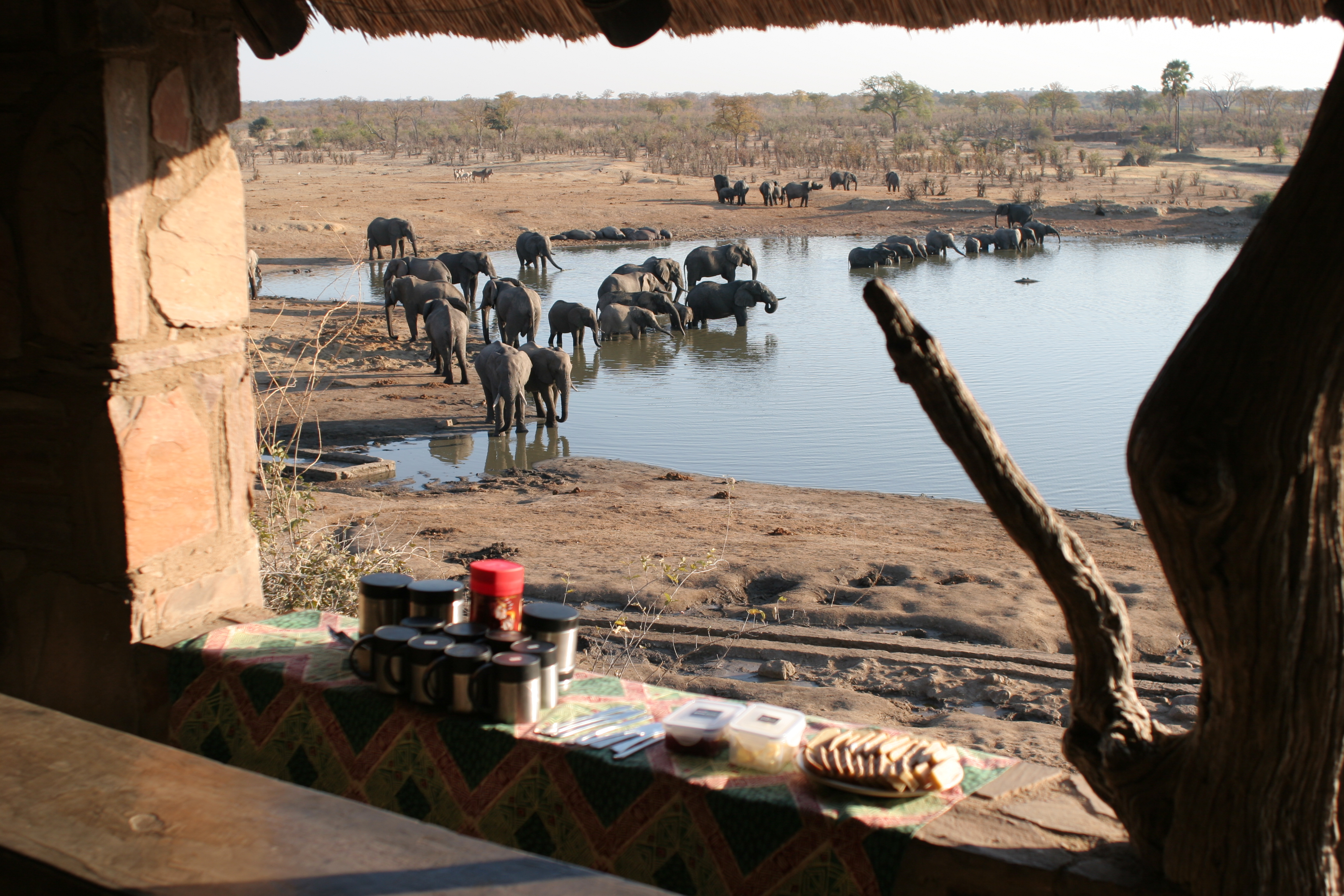 Enjoying morning tea at Masuma Dam, Hwange