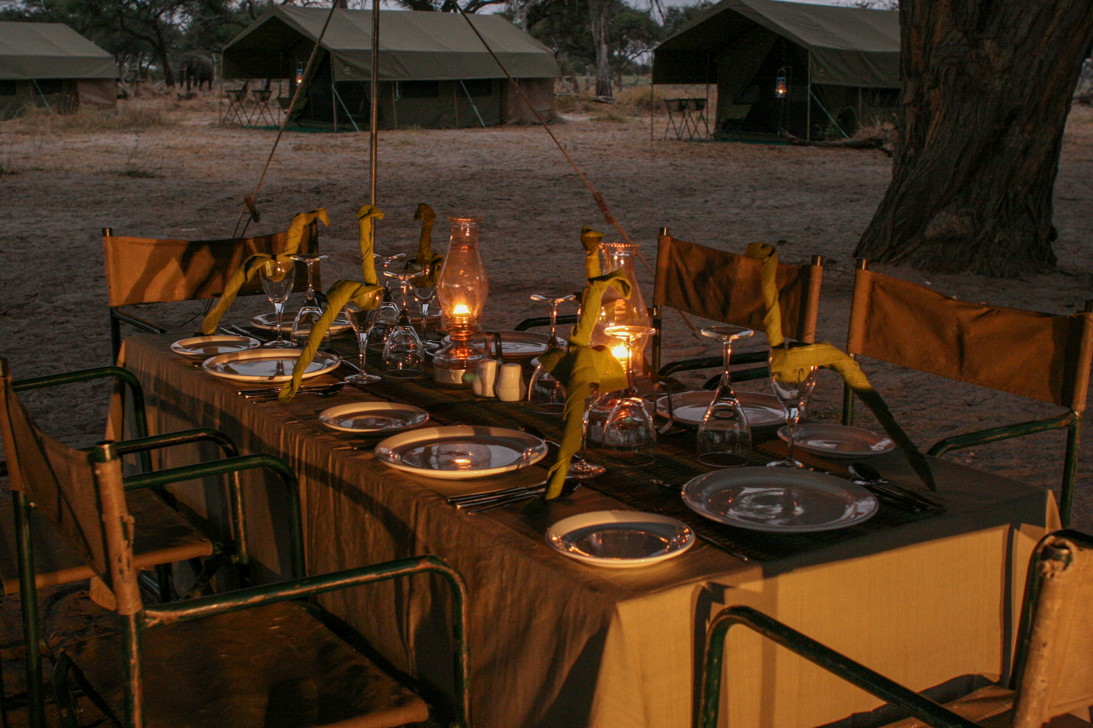 Evening dinner with an attendant elephant nearby