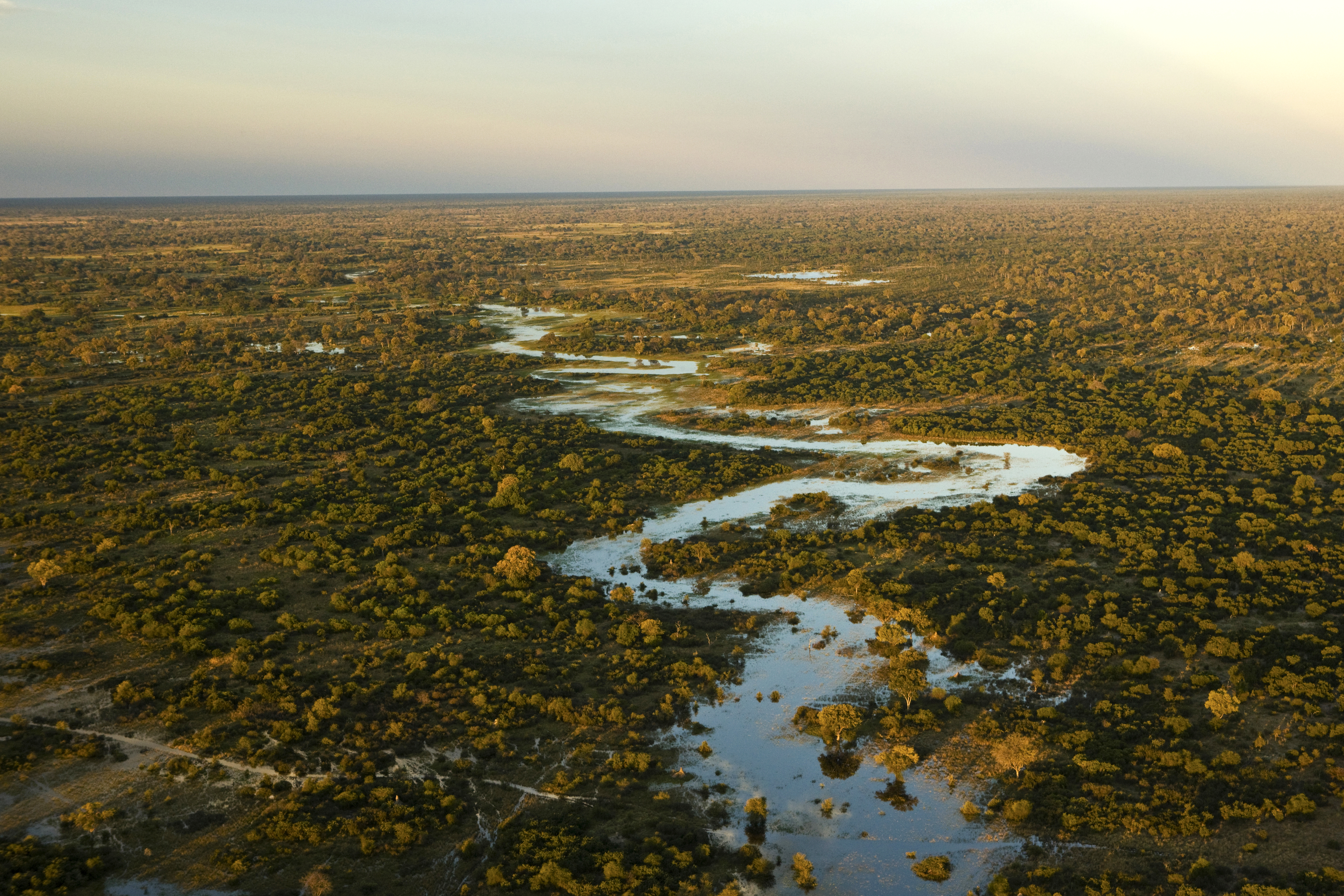 Aerial View of the Selinda Spillway