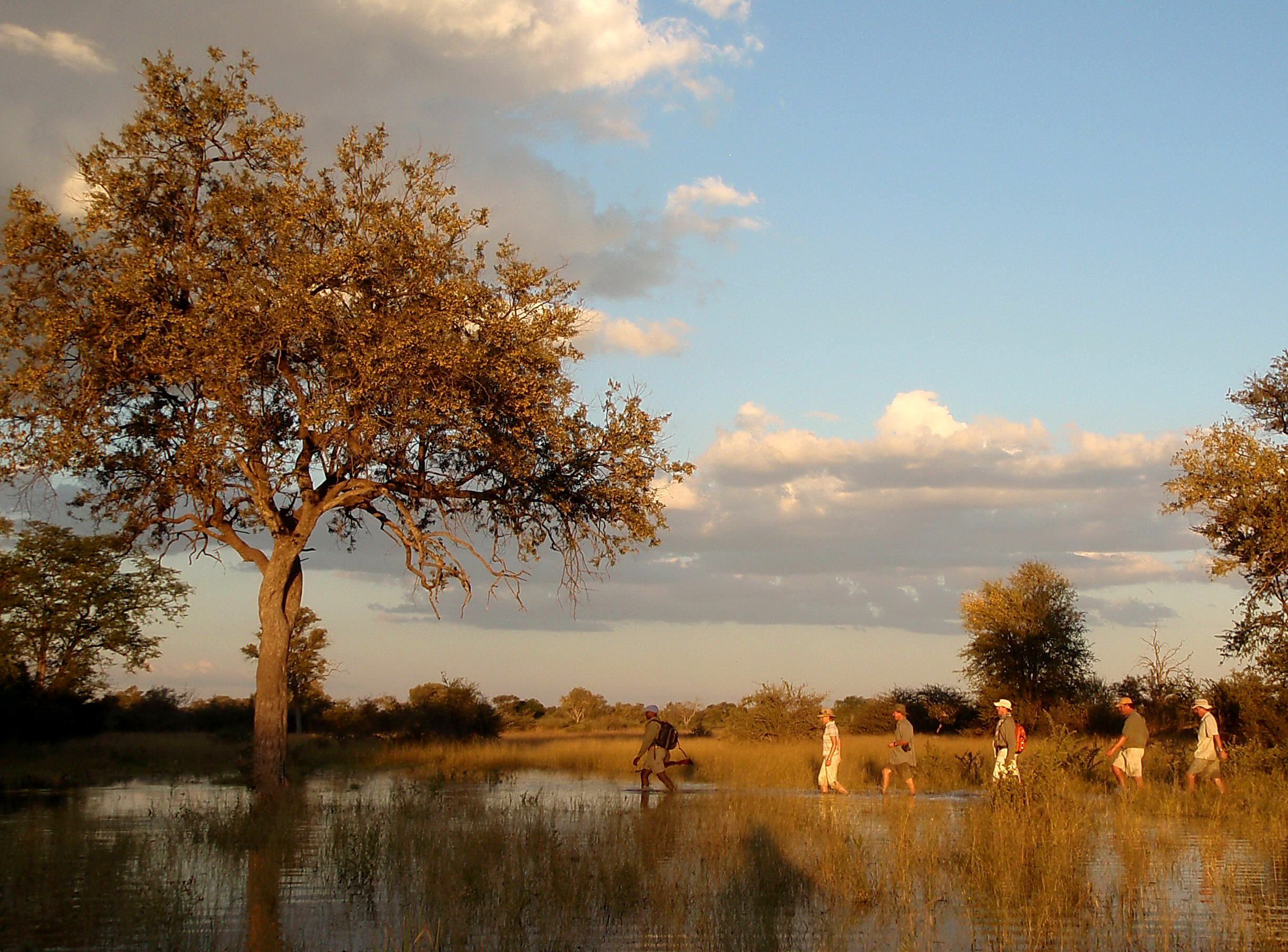 The Wonder of Exploring the Bush on Foot