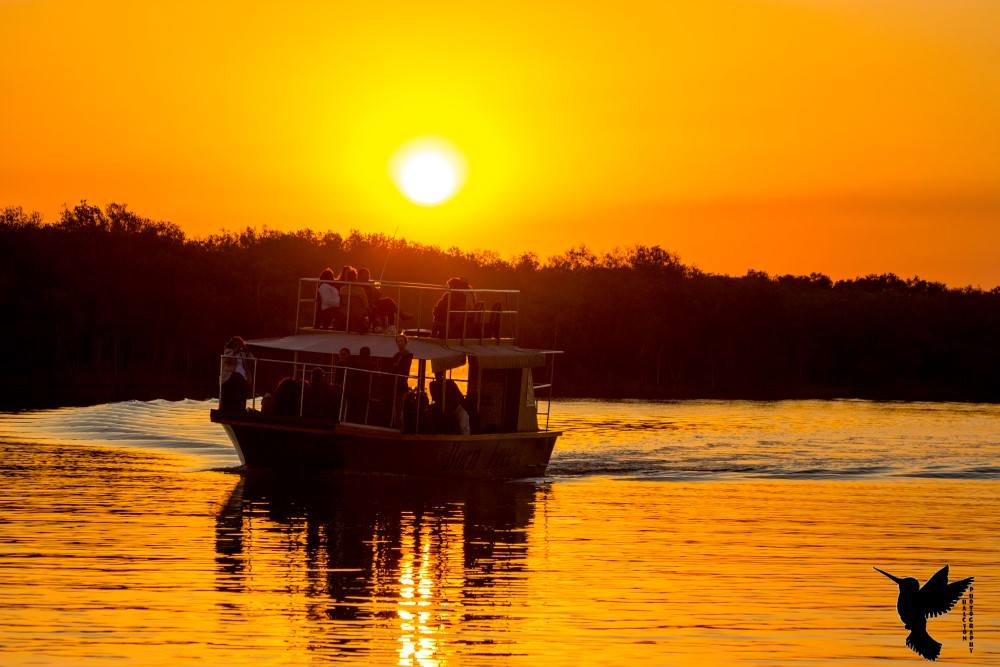 2 hour cruise overlooking hippos and crocs