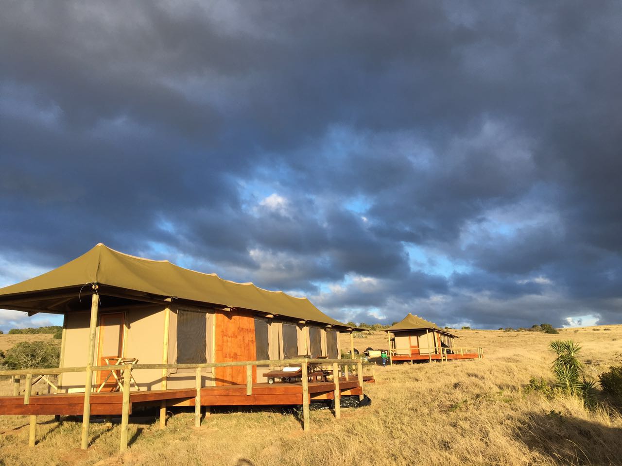 Hlosi Luxury Family Tents