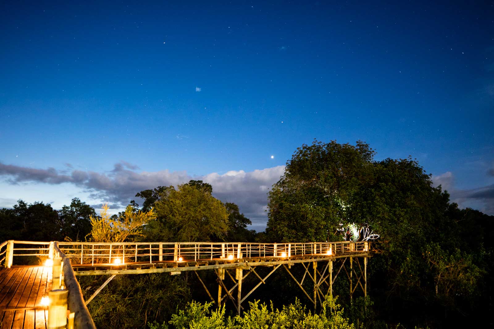 River Lodge skywalk