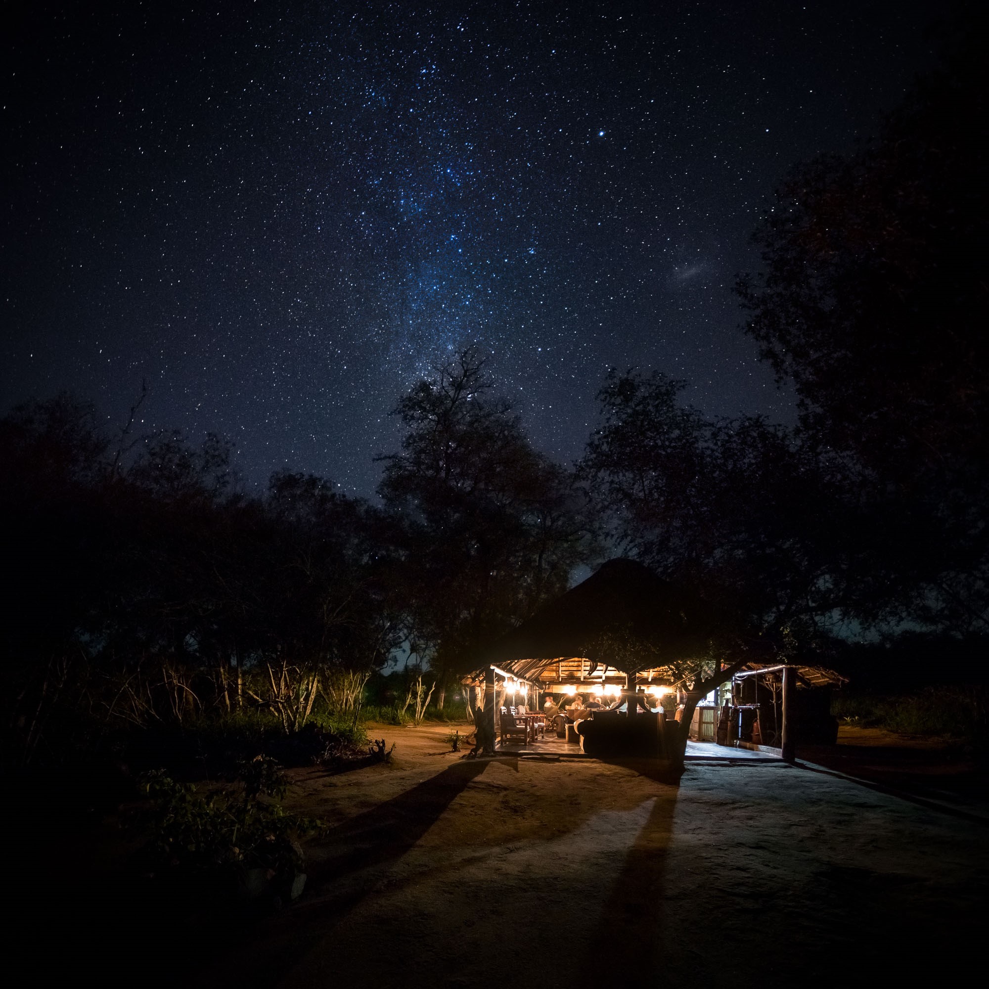 Pungwe Bush Camp, Manyeleti | Timbuktu Travel
