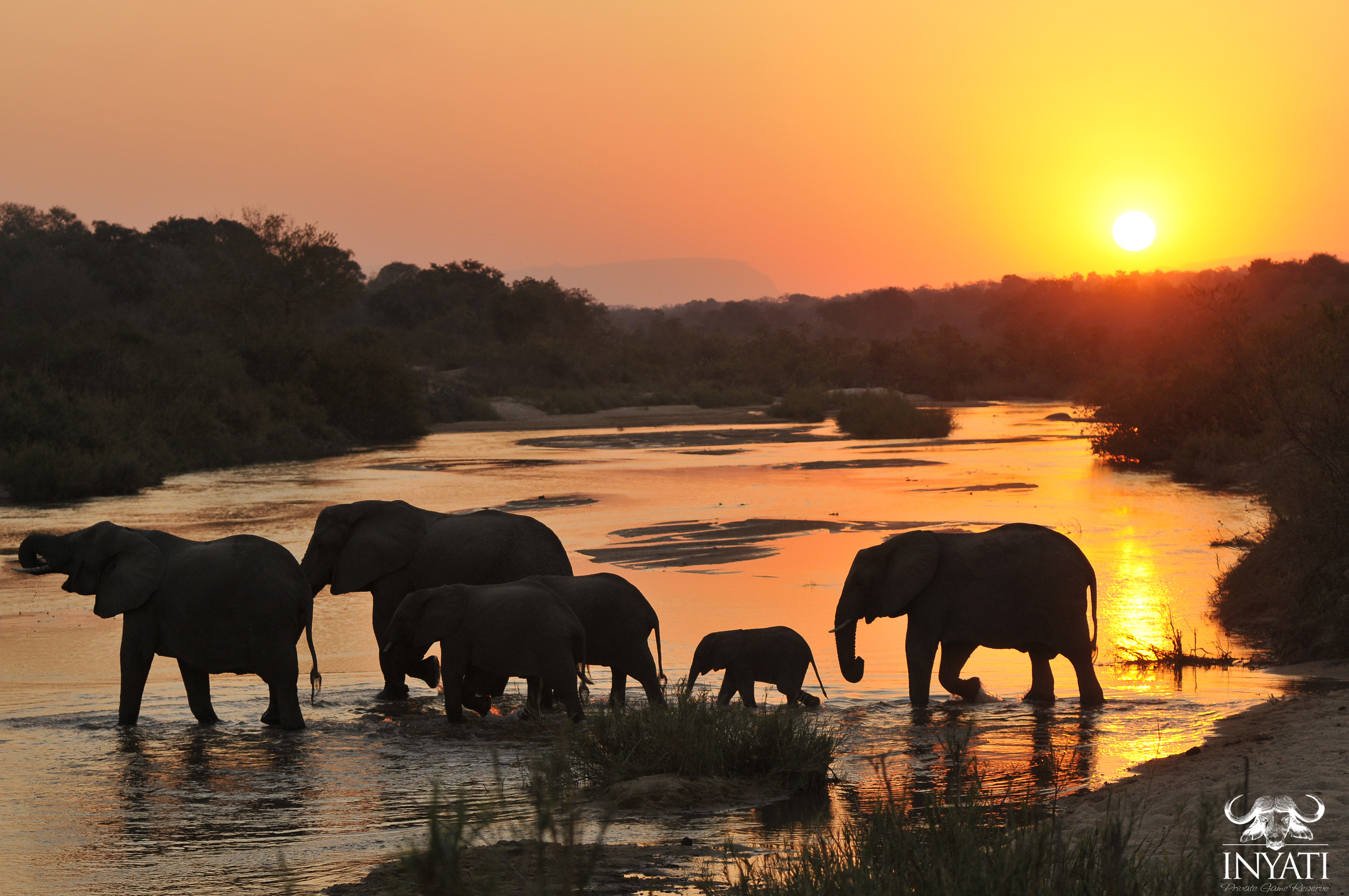 Why not experience a #BucketList safari this year? 