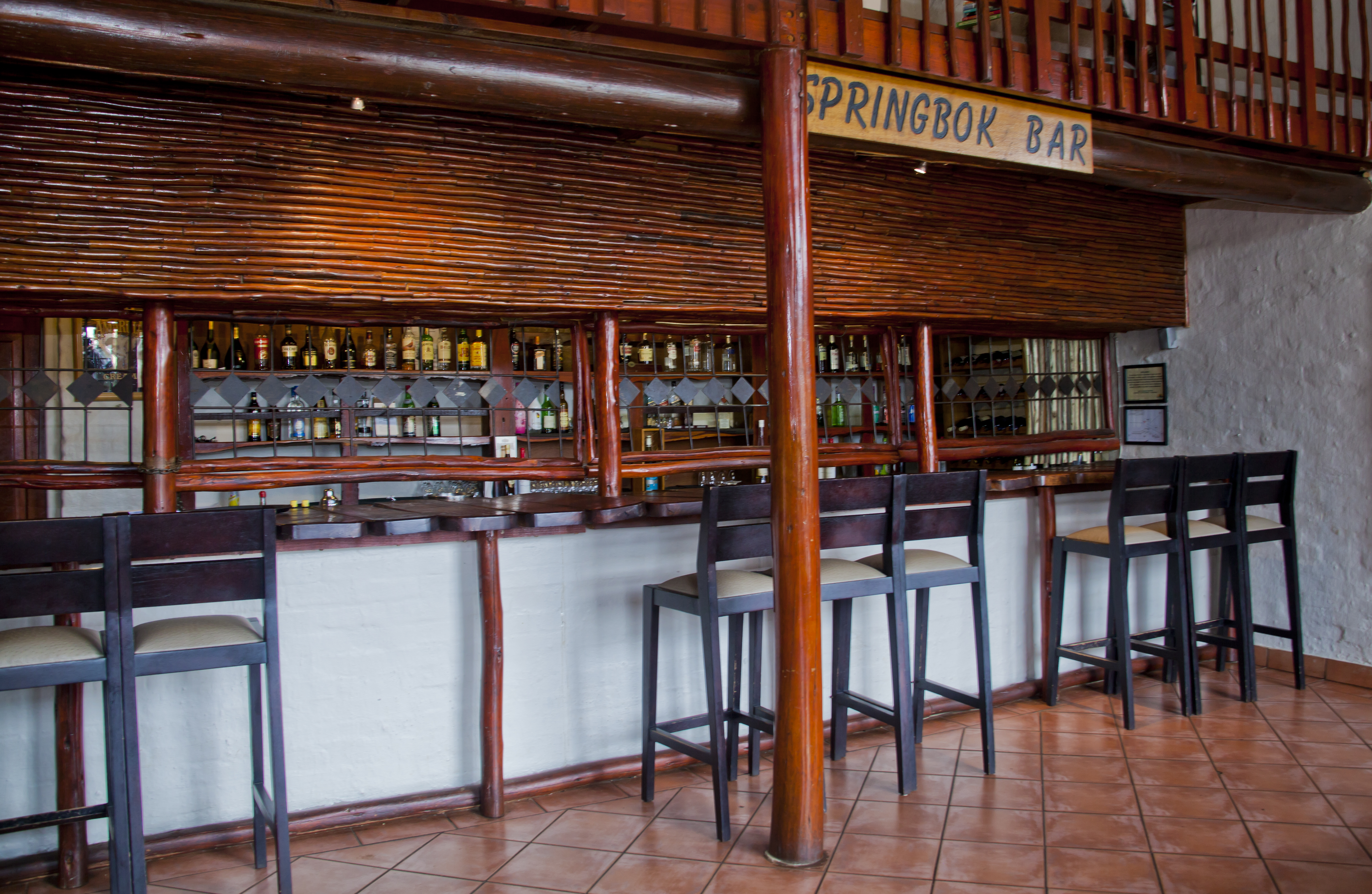 Springbok Bar