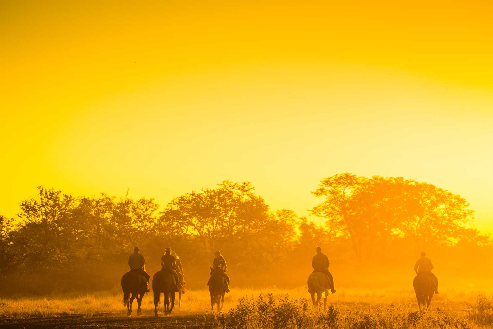 Horse riding at sunrise