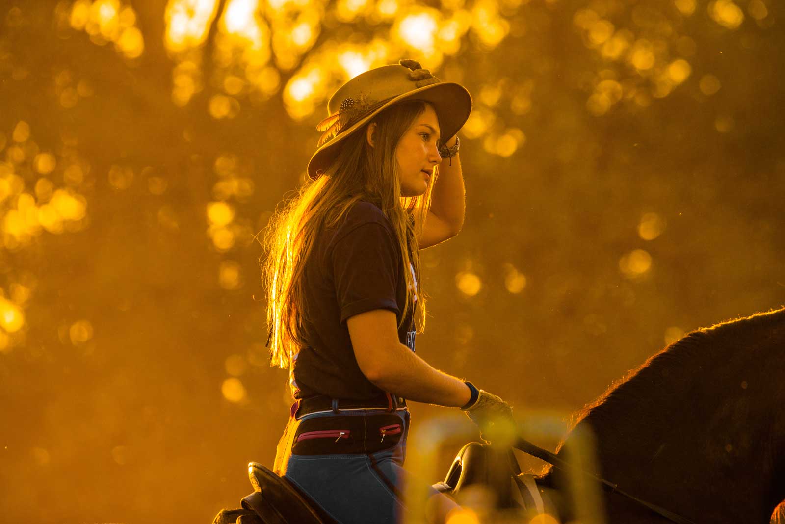 Horse riding at sunrise