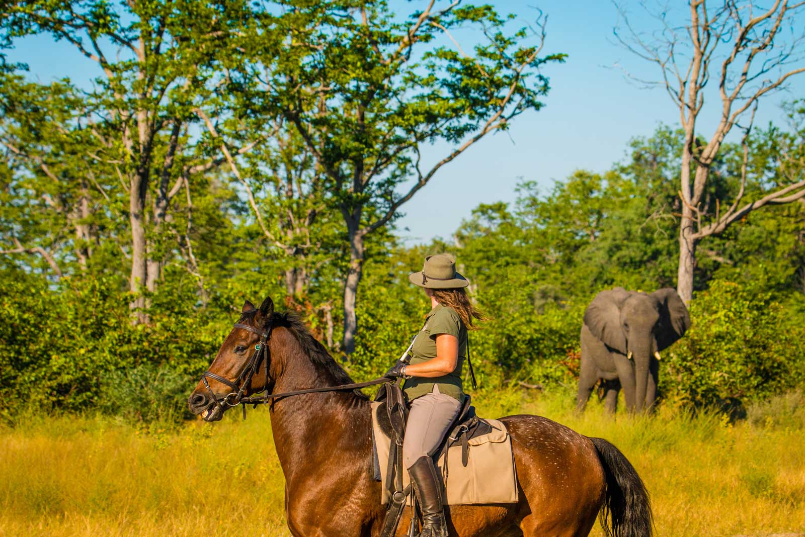 Game viewing on horseback 