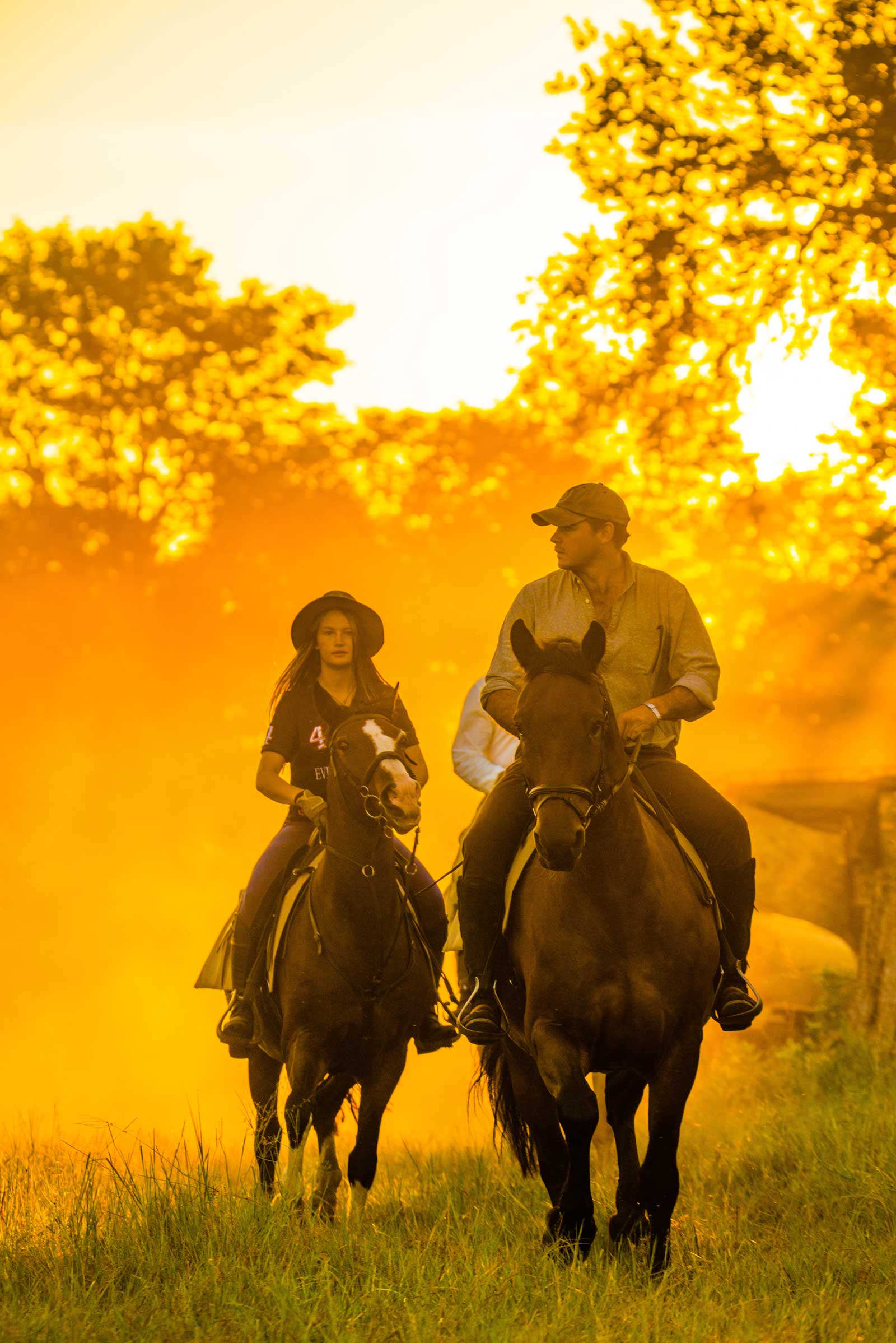 Horse riding at sunrise