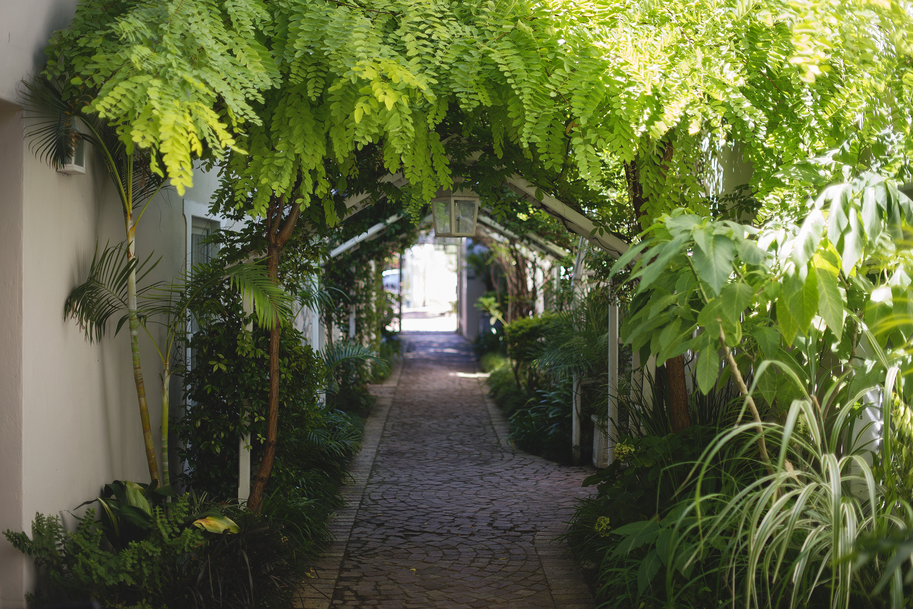 The entrance to The Last Word Franschhoek
