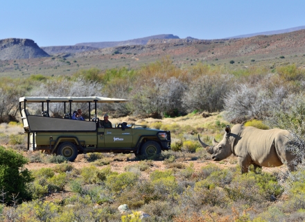 Game drives at Sanbona