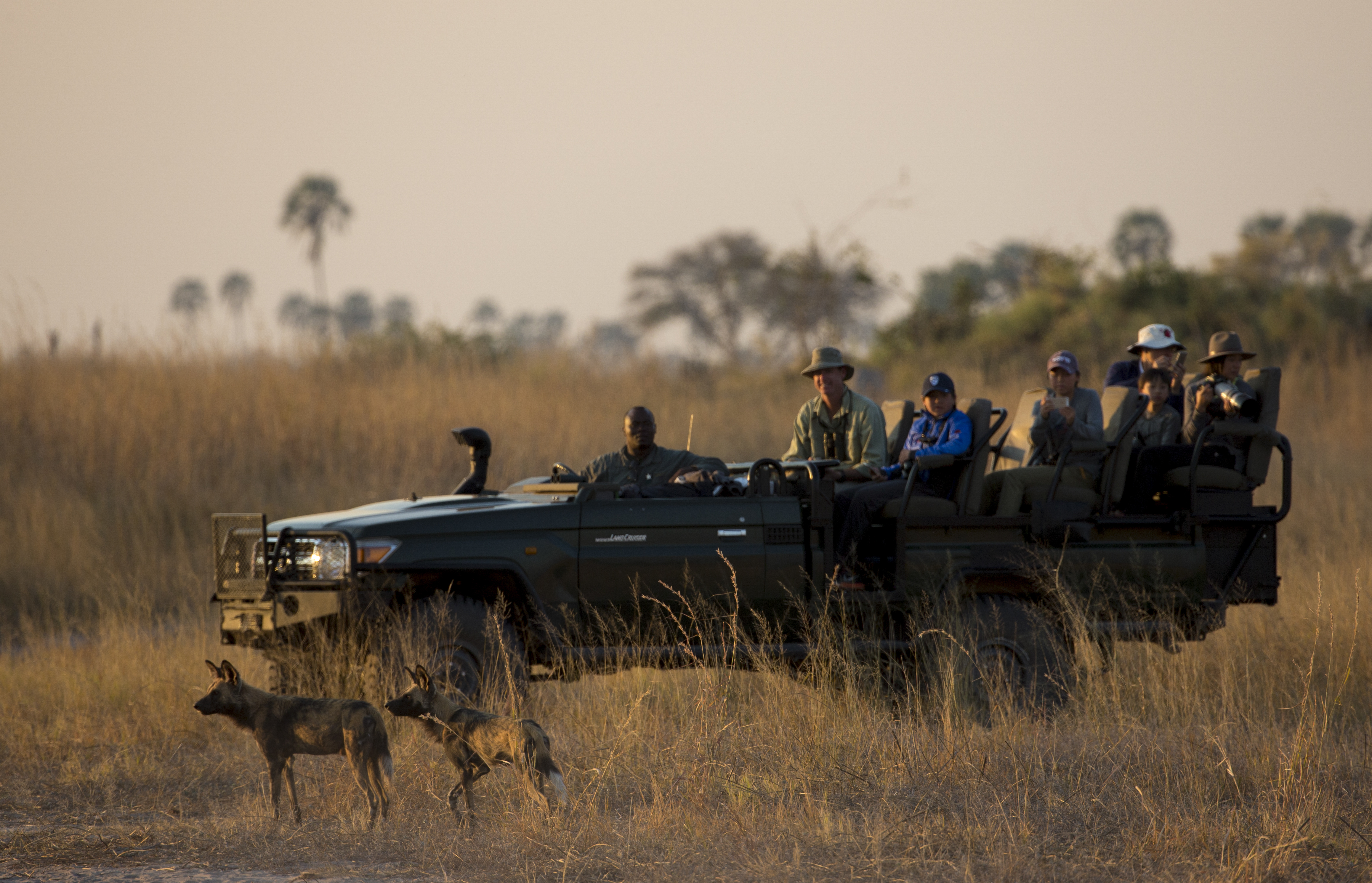 Game Drive at Zarafa
