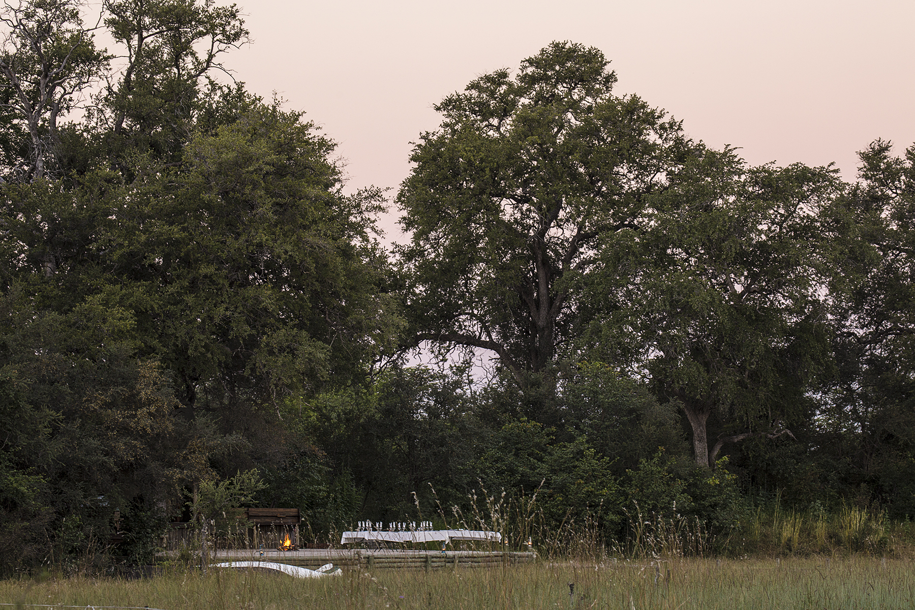 Motswiri Camp under the trees