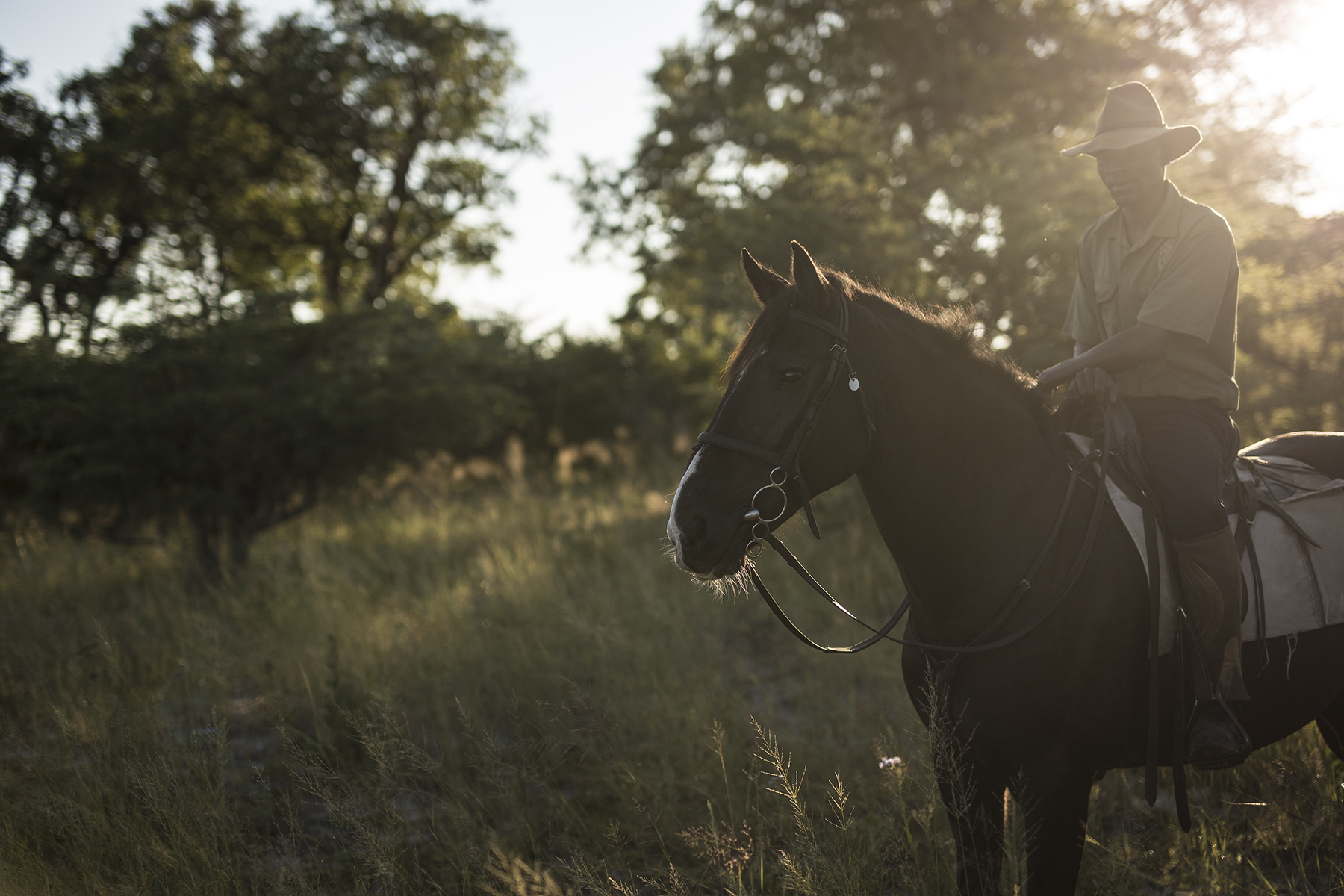 Guided horse riding safaris