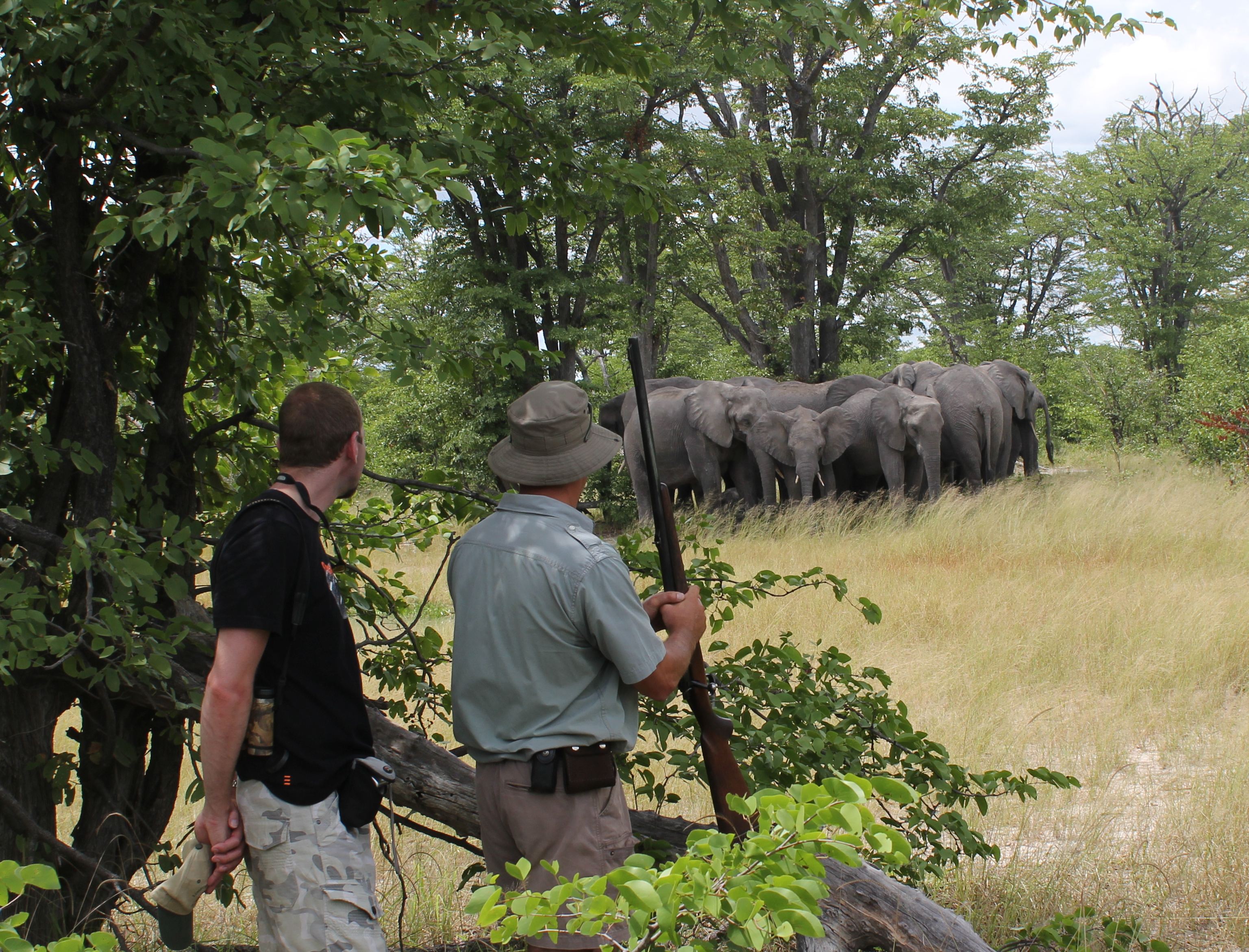 Walking safaris in Selinda