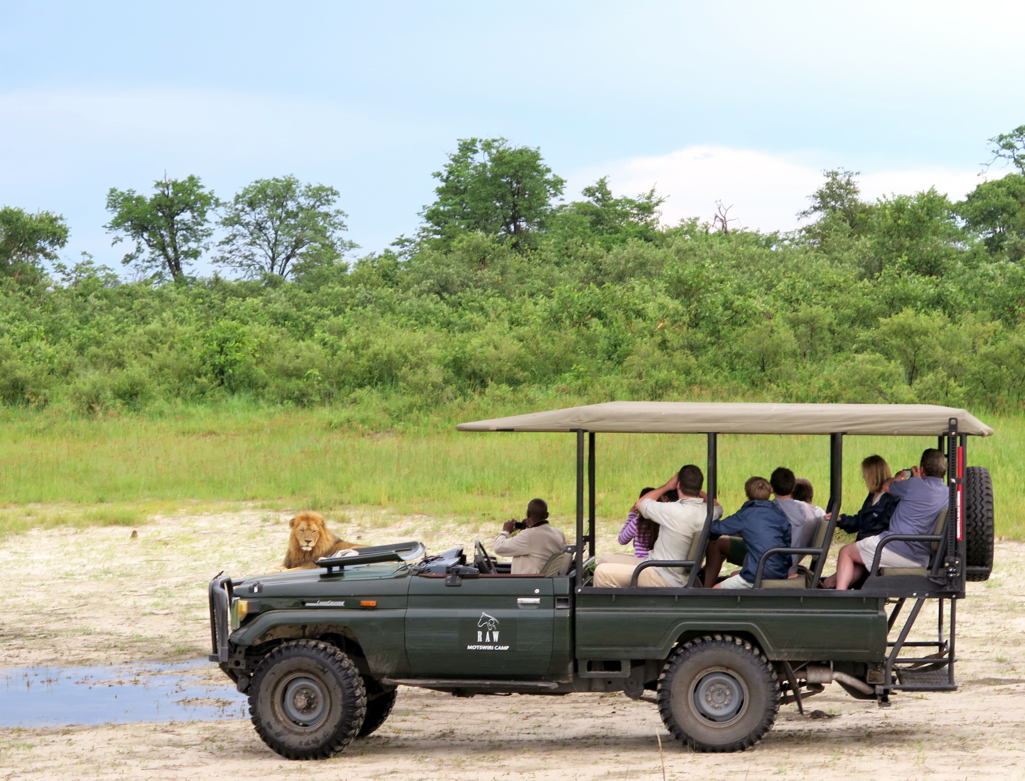 Game drives in the Selinda Reserve