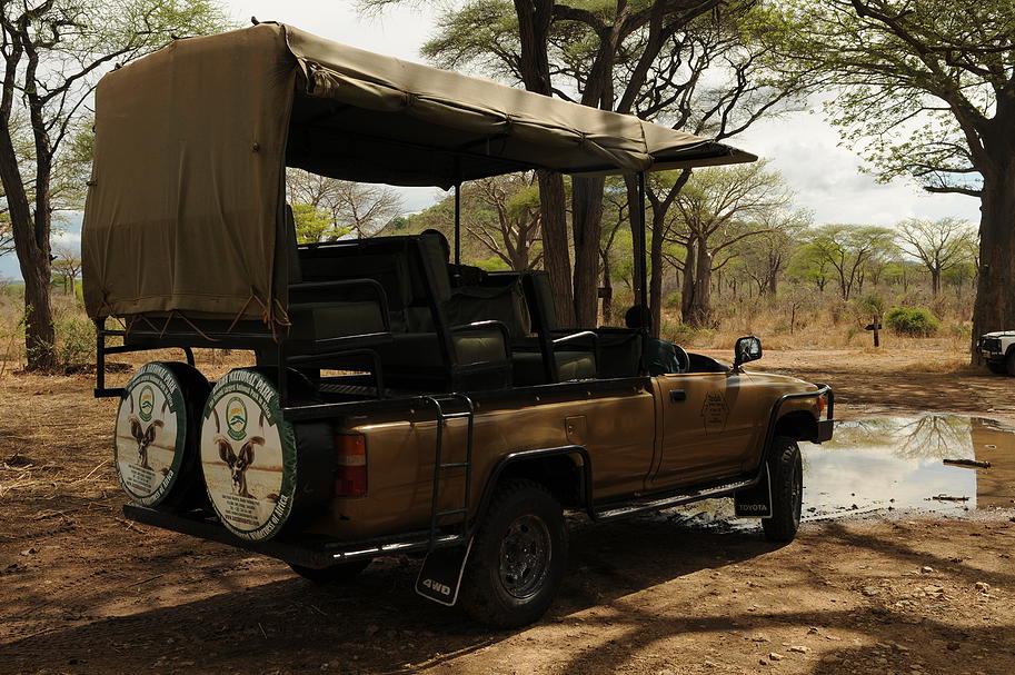 Tandala Safari Camp, Ruaha | Timbuktu Travel