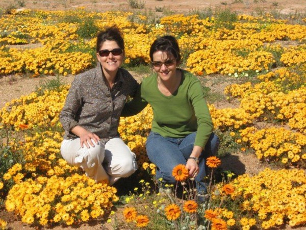 Naries in Full Bloom during the famous Namaqualand Flower Season