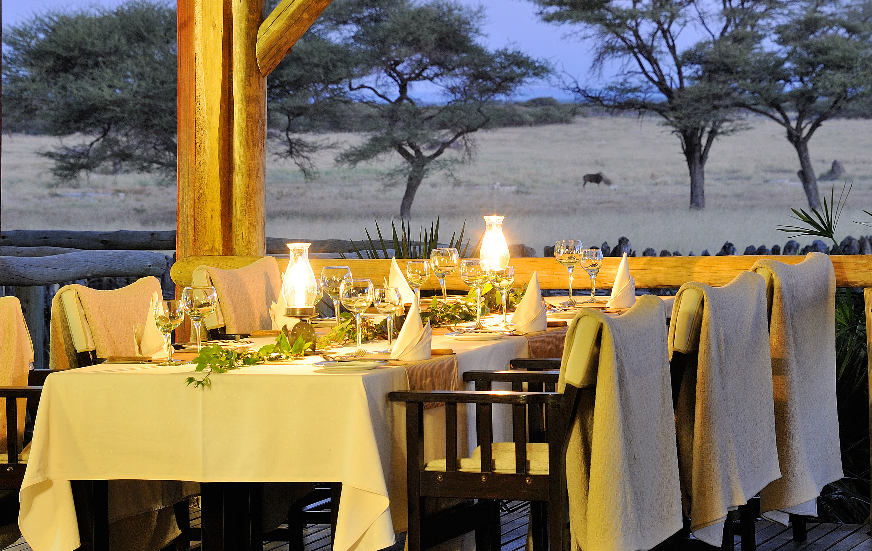 Our gourmet kitchen whips up a variety of venison dishes served with farm-fresh vegetables and salads seasoned with aromatic ingredients from our herb garden.