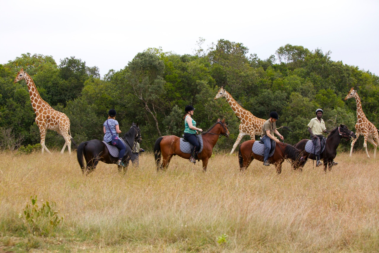 Horse riding in the game sanctuary