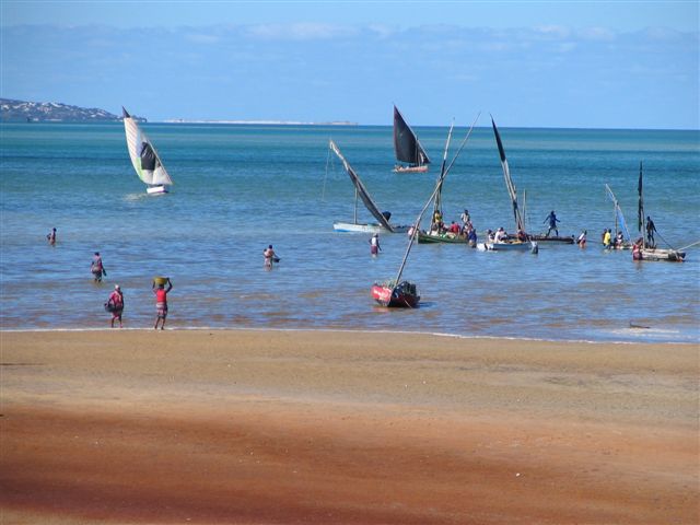 Experience a slice of paradise for yourself and we promise a unique and unforgettable tropical adventure! Exceptional diving and swimming,  snorkellings spots, scuba diving, deepsea fishing, beautiful white sandy beaches, sailing in "Golphino" Casa Chibububo Lodge  dhow to the islands and mounth watering seafood prepare on the island or restaurant, fresh from the ocean! 