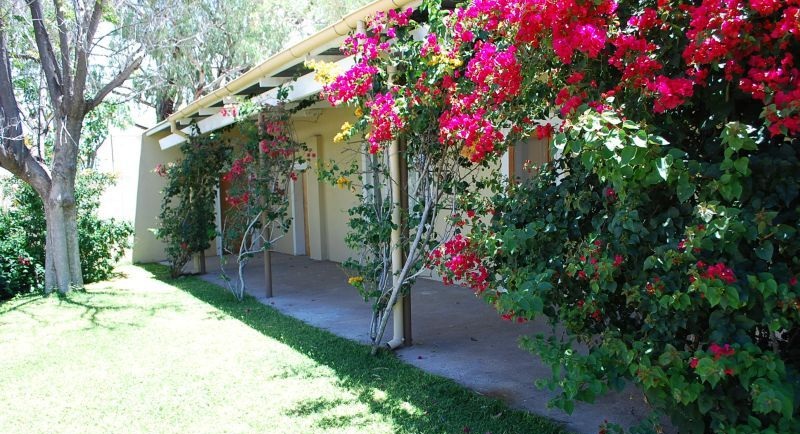 Okaputa Guest Farm, Otjiwarongo | Timbuktu Travel