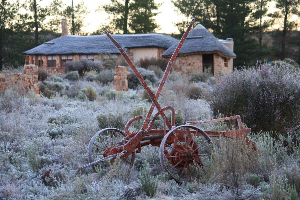 Enjoy the frozen morning with spectacular frost patterns 