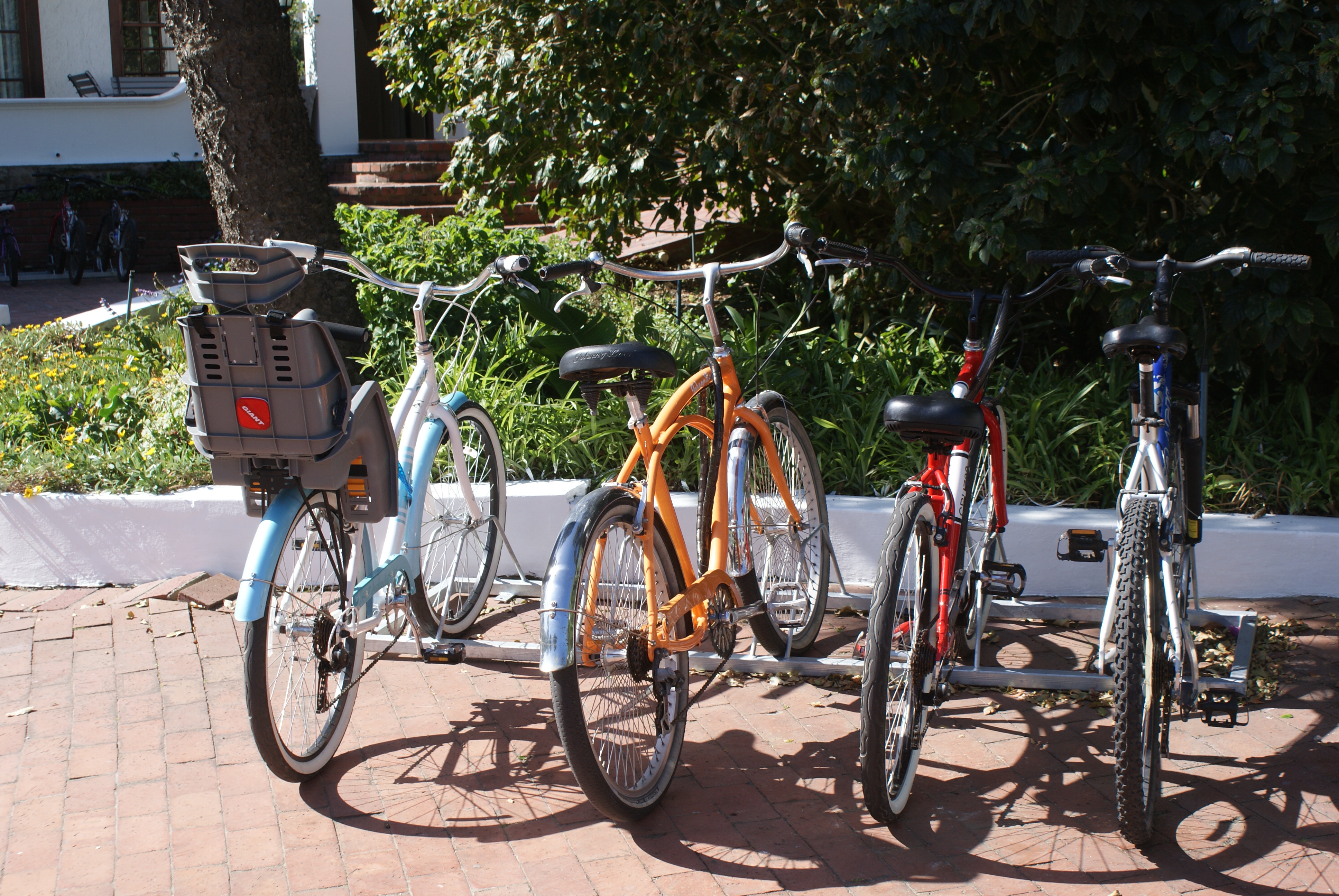 Bikes for rent to cruise Hermanus