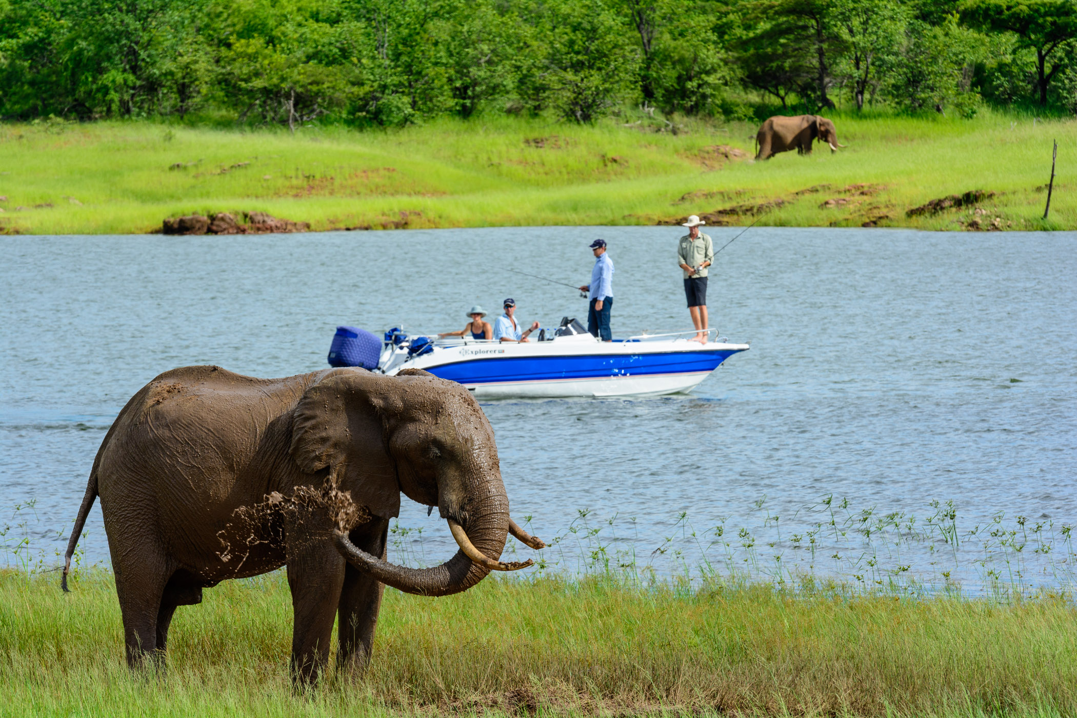 Enjoy a morning out with a fishing rod, your binoculars and surrounded by wildlife.