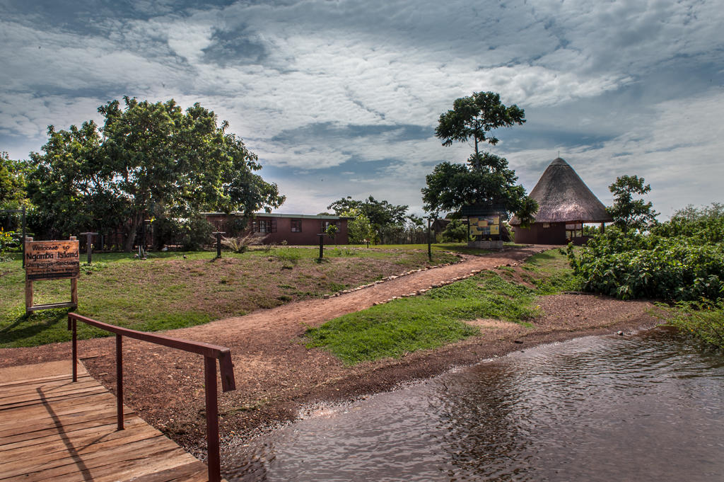 Ngamba Island Camp, Entebbe | Timbuktu Travel