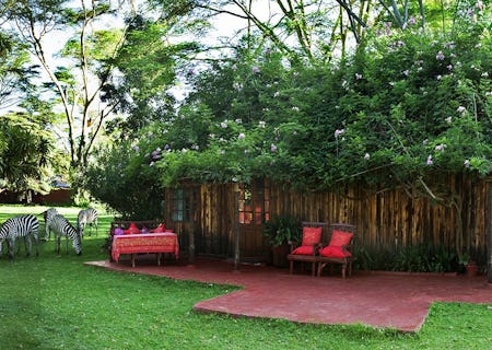 A collage of the magnificent attractions within and around Naivasha