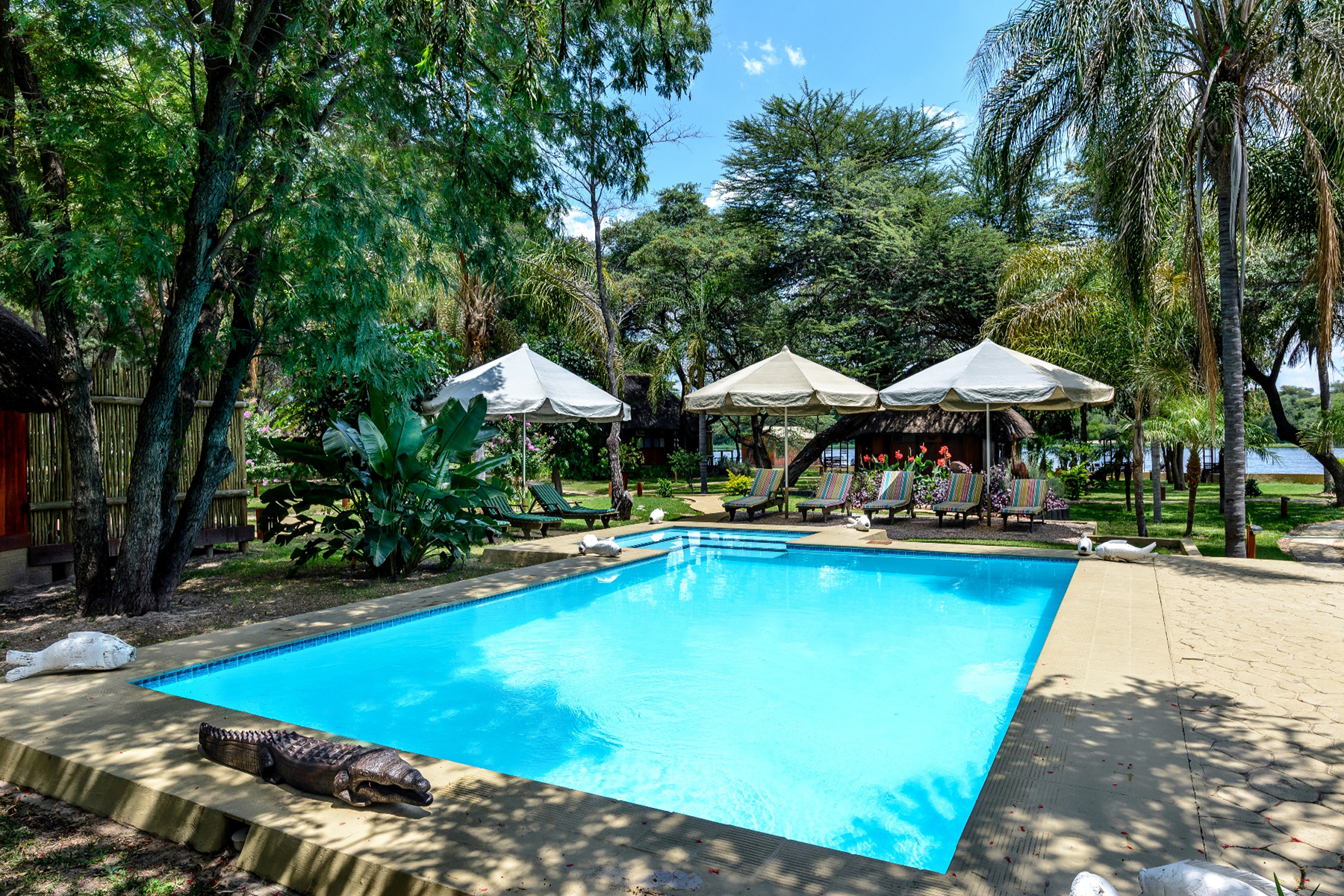 Relax at the swimming pool 