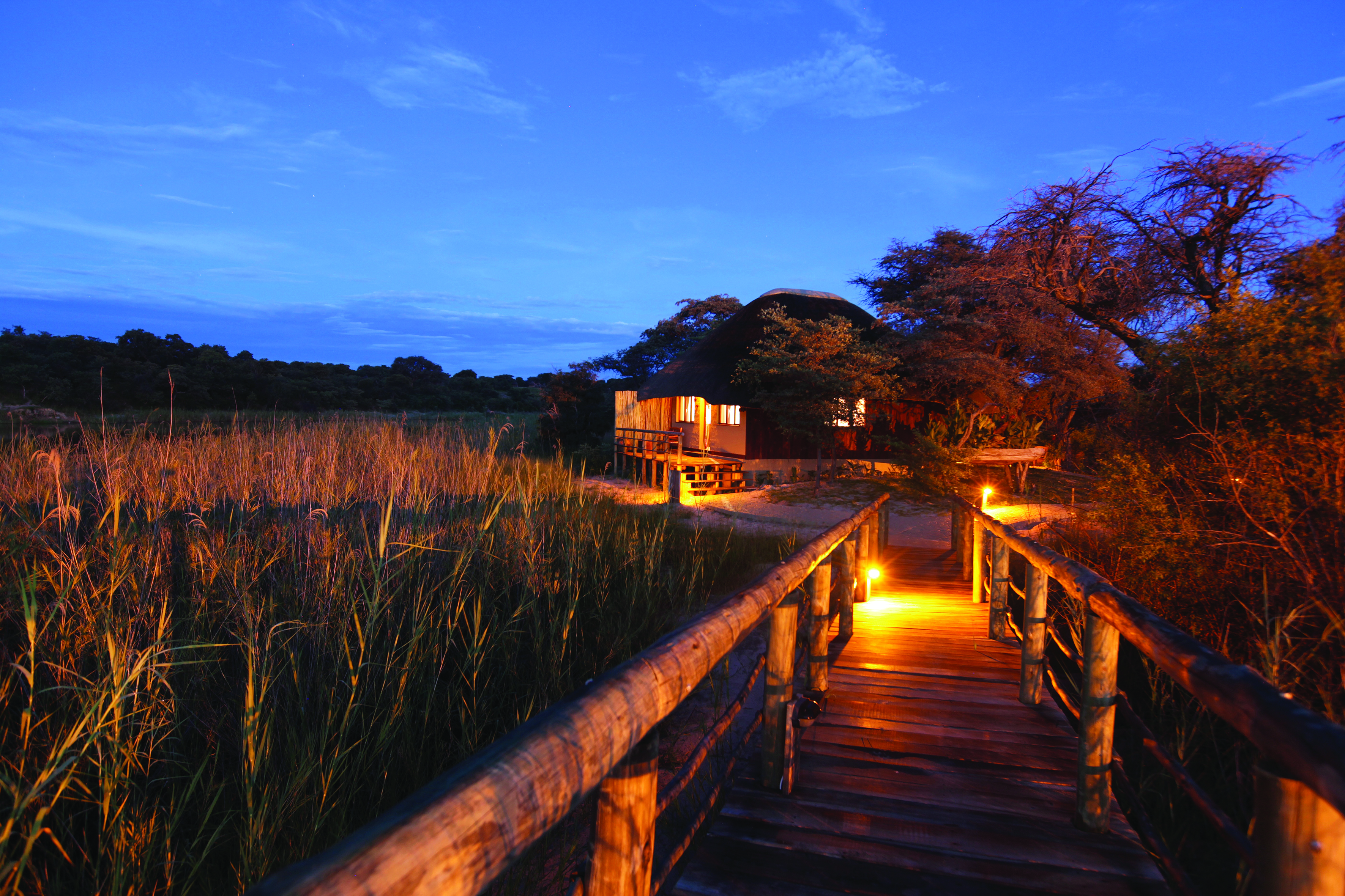 A night walk to the lodge 
