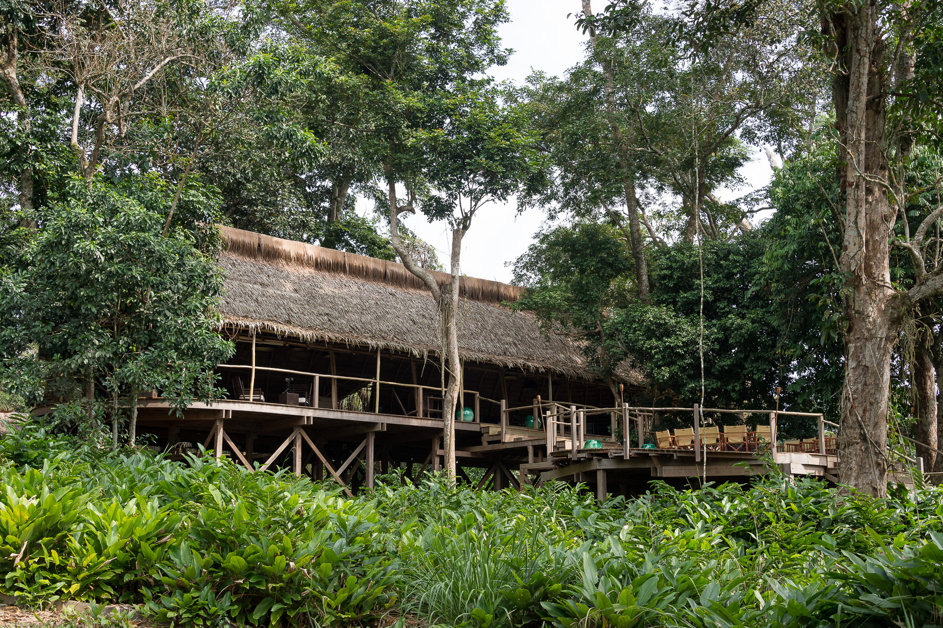 Camp setting in the forest