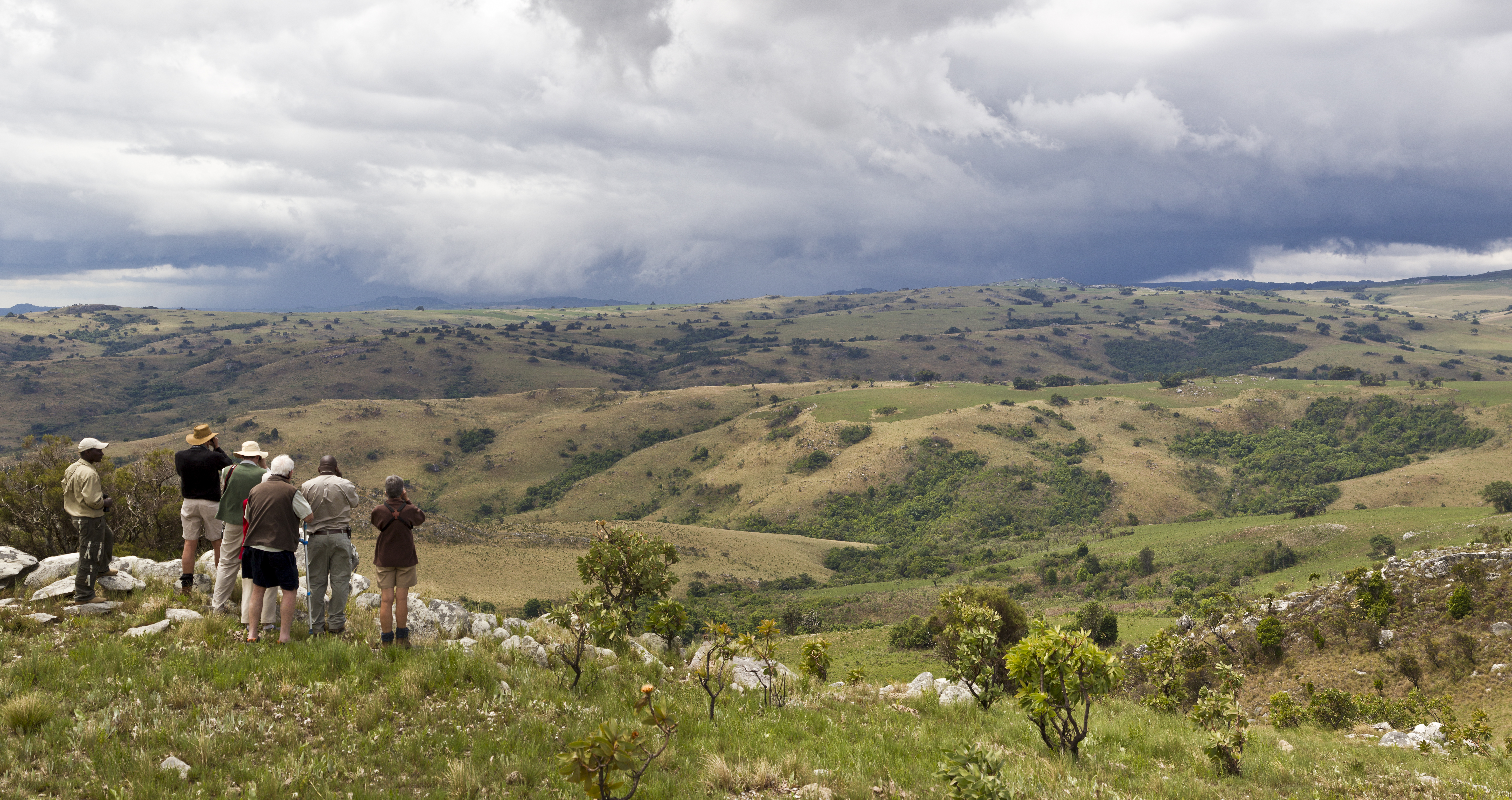 Nyika Landscape